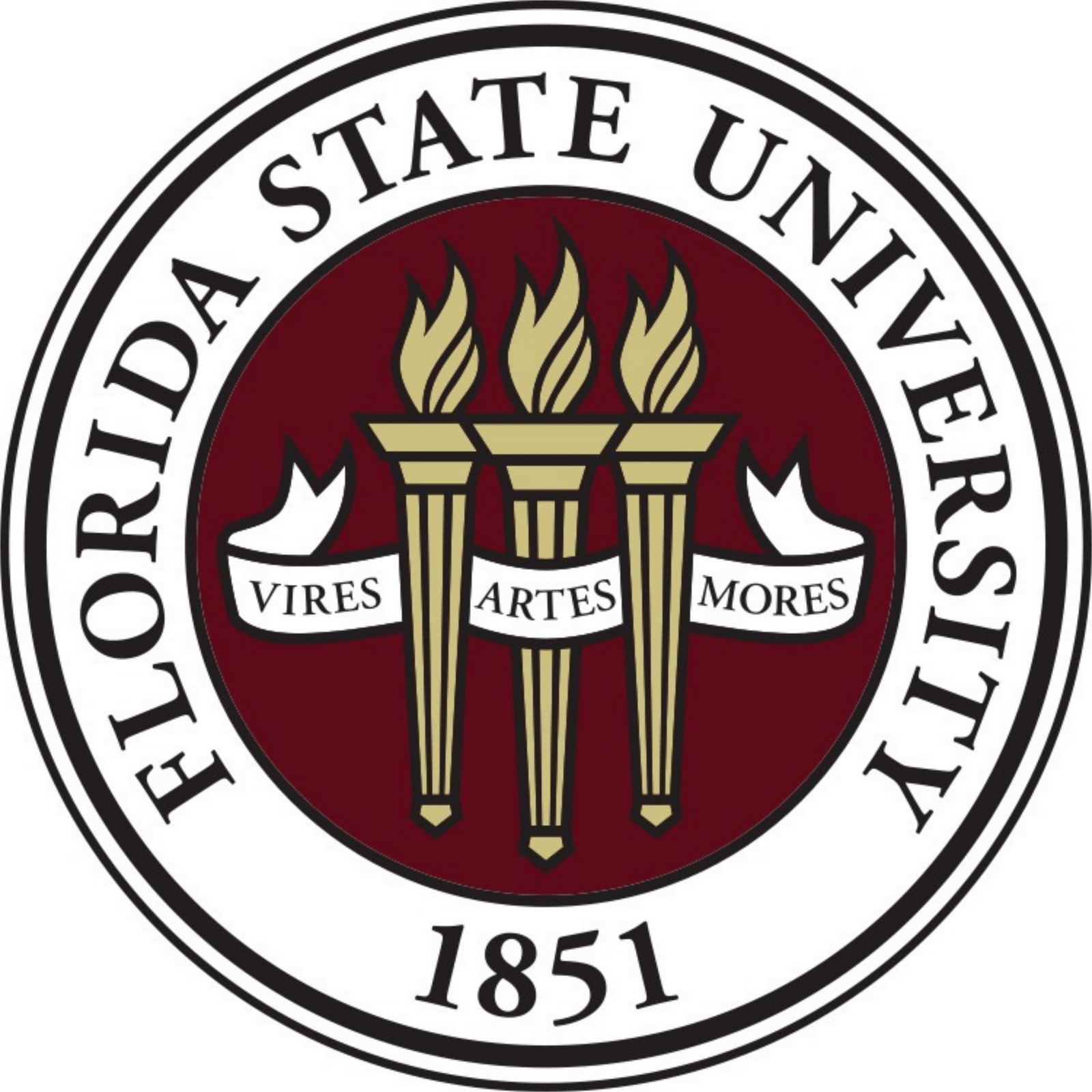 Cheer for a Repeat With Florida State University Chrome Browser