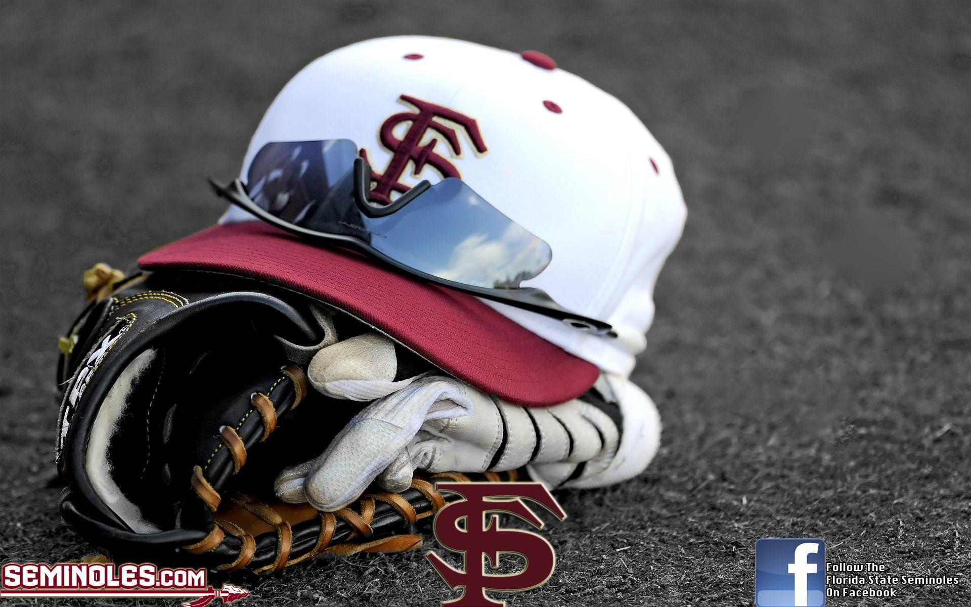 Cheer for a Repeat With Florida State University Chrome Browser