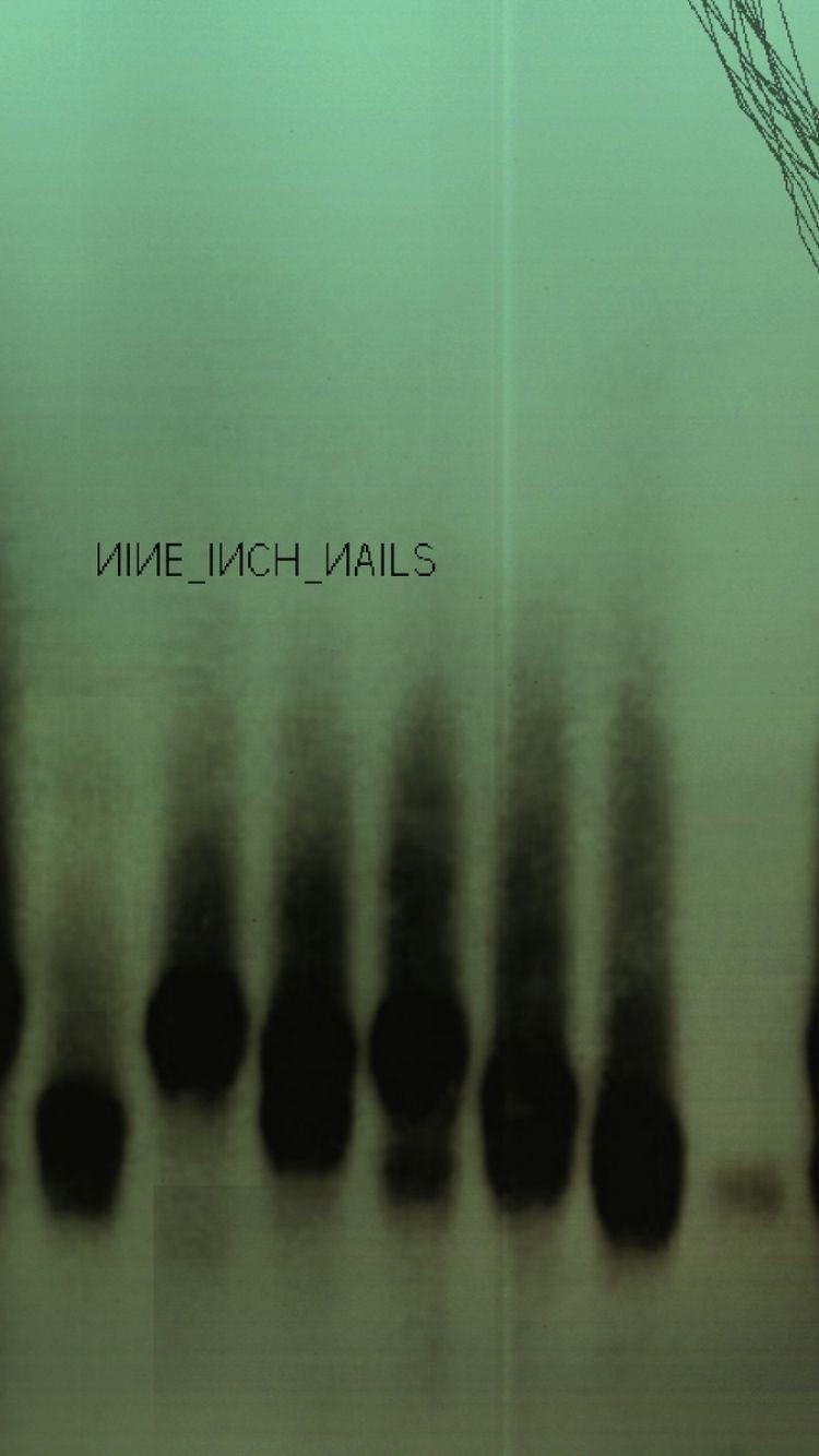 Lights In The Sky Nine Inch Nails Fanpop Background HD phone wallpaper   Pxfuel