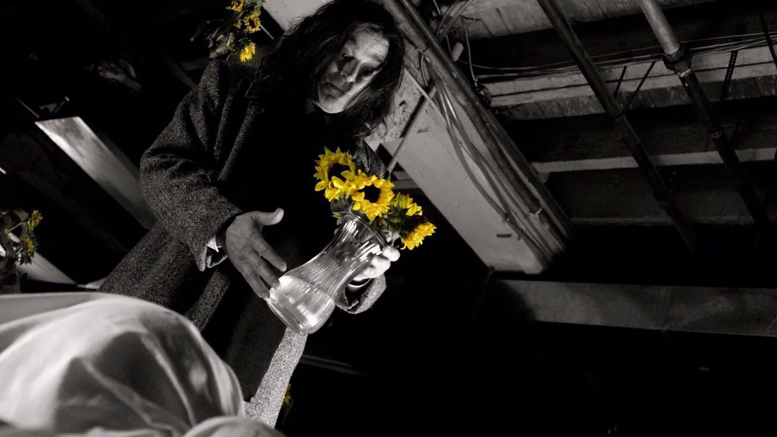 The Keyhole Of My Mind: Sessão Da Meia Noite, A Maldição De