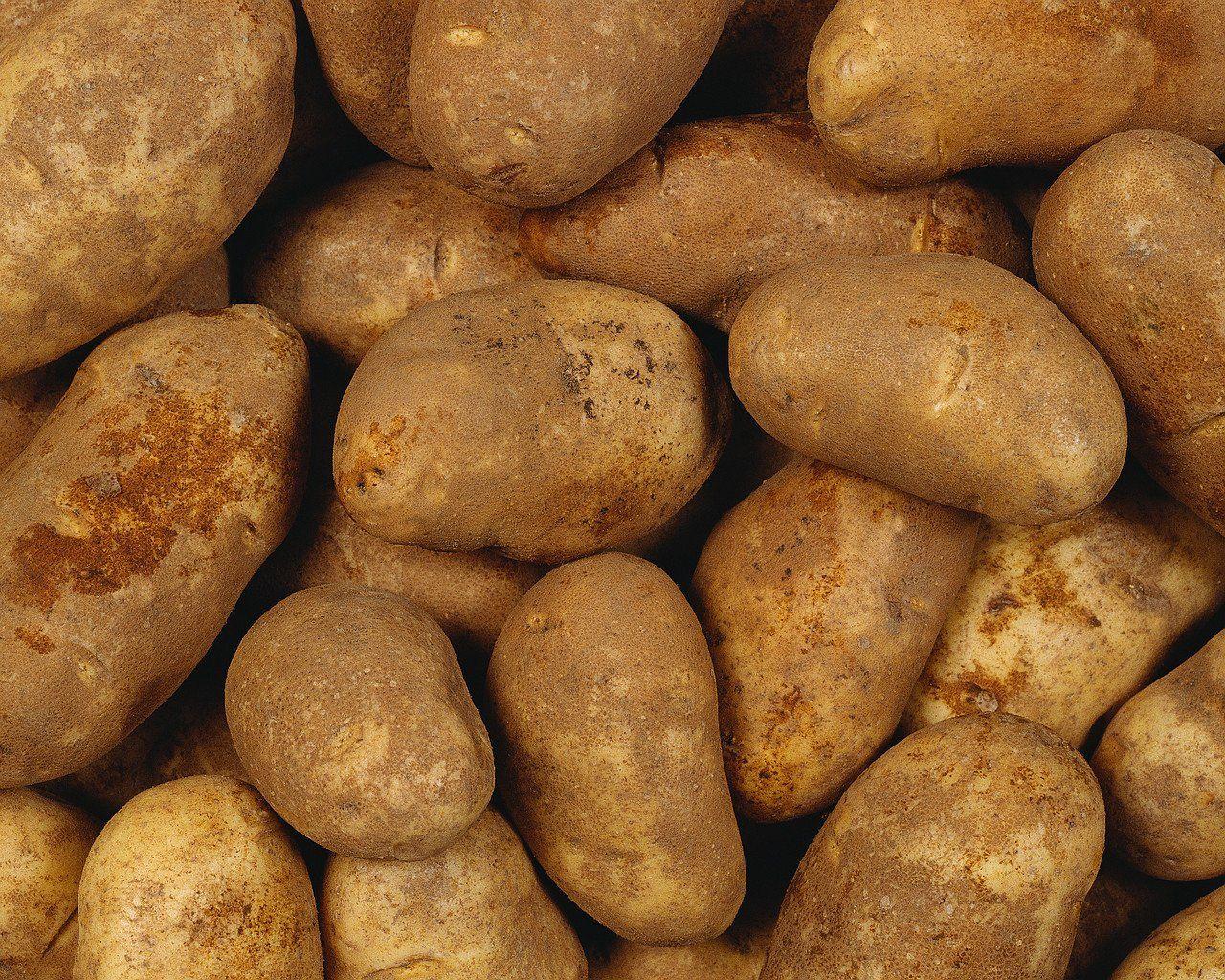 Potato HD Wallpaper and Background Image