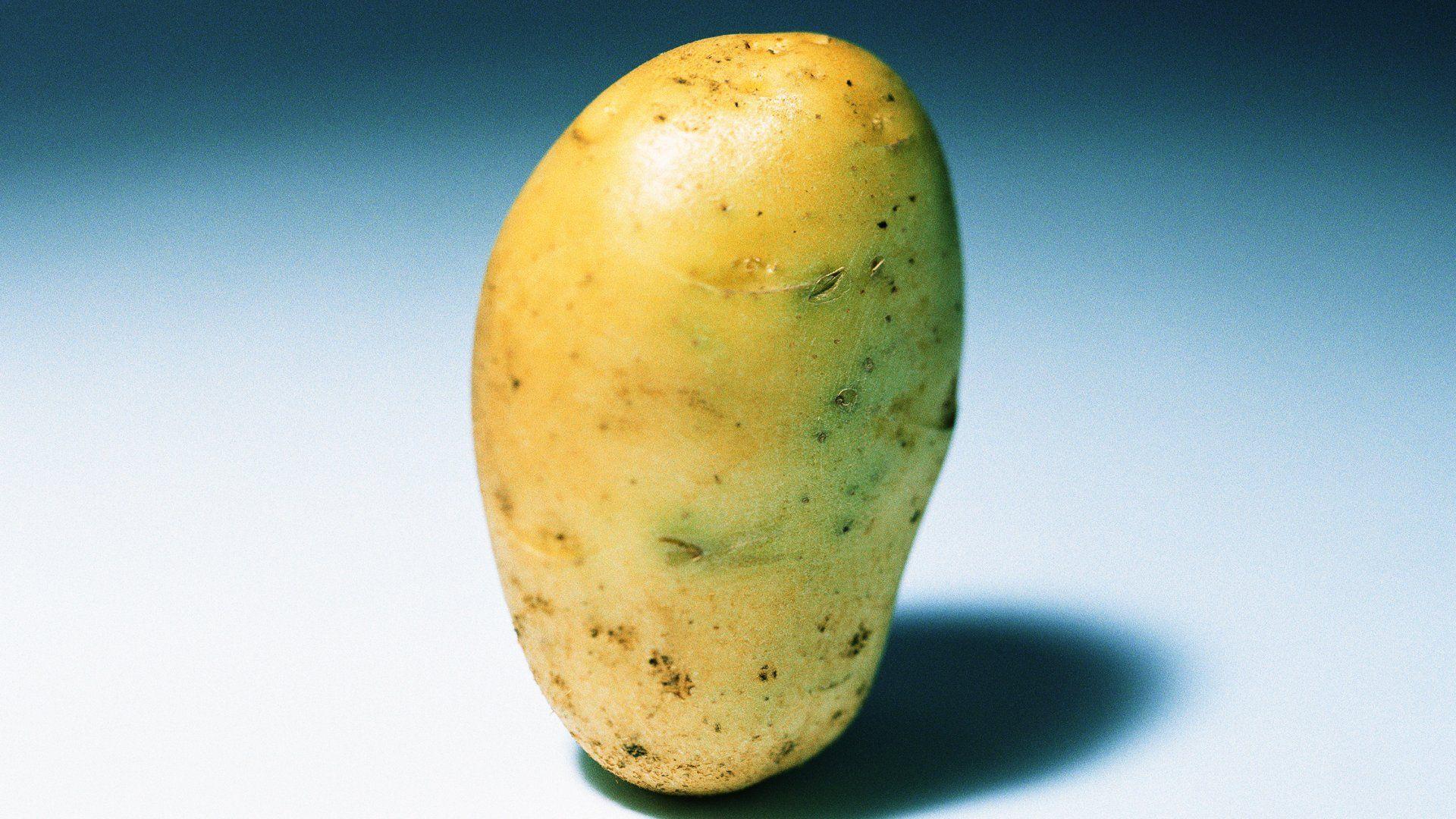 Potato, Close Up 1920*1080 Food Photography, Fresh Vegetables