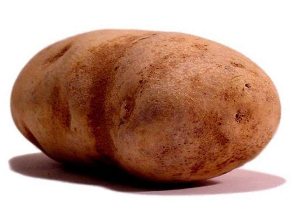 Potato HD Wallpaper HD Image