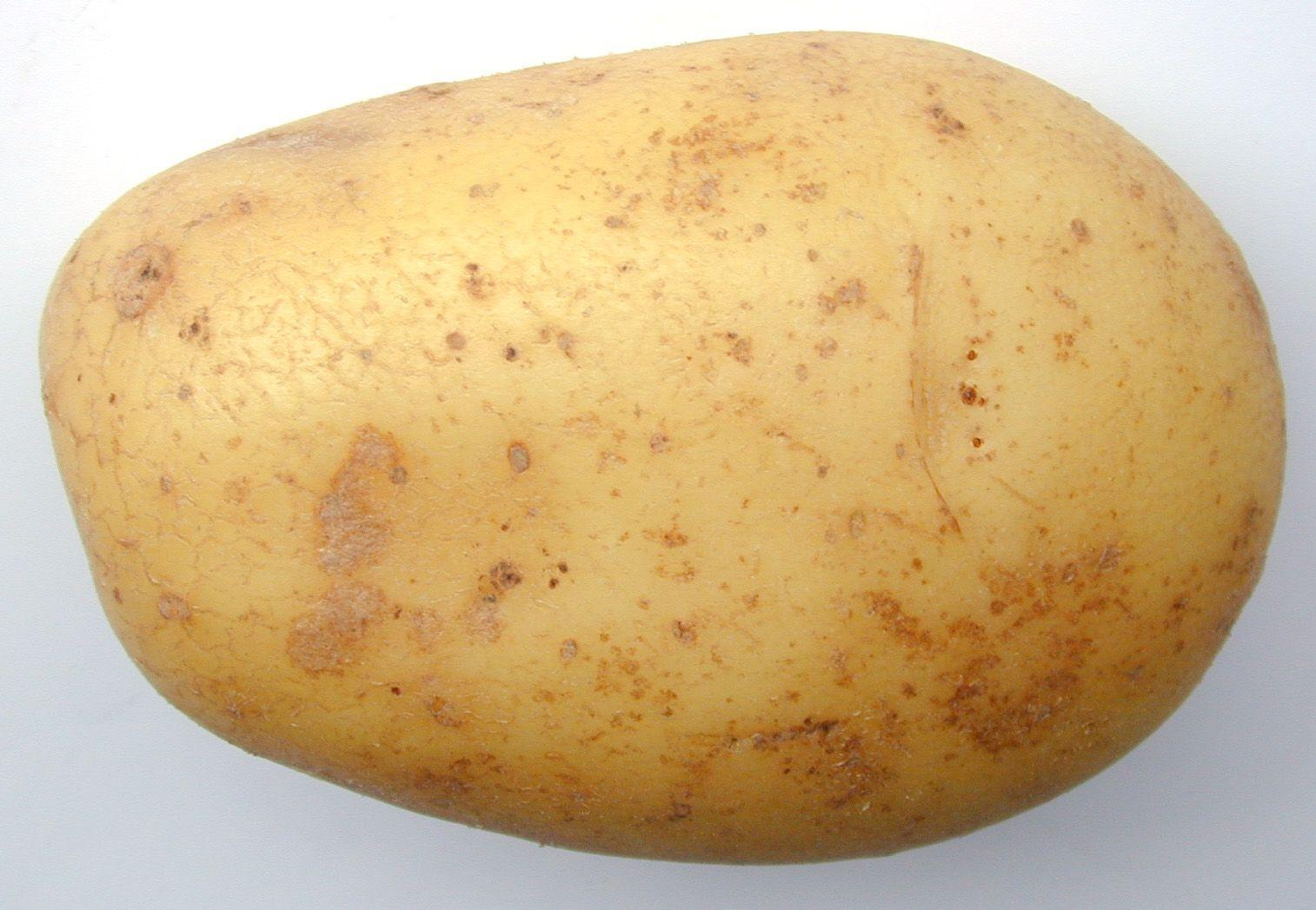 Potato Wallpaper