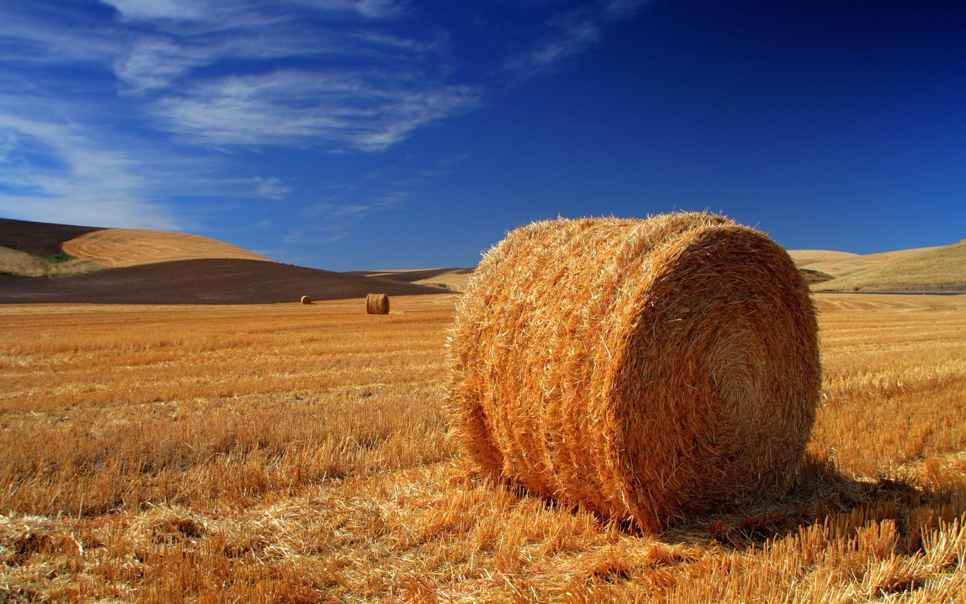 Farming Background Download Free