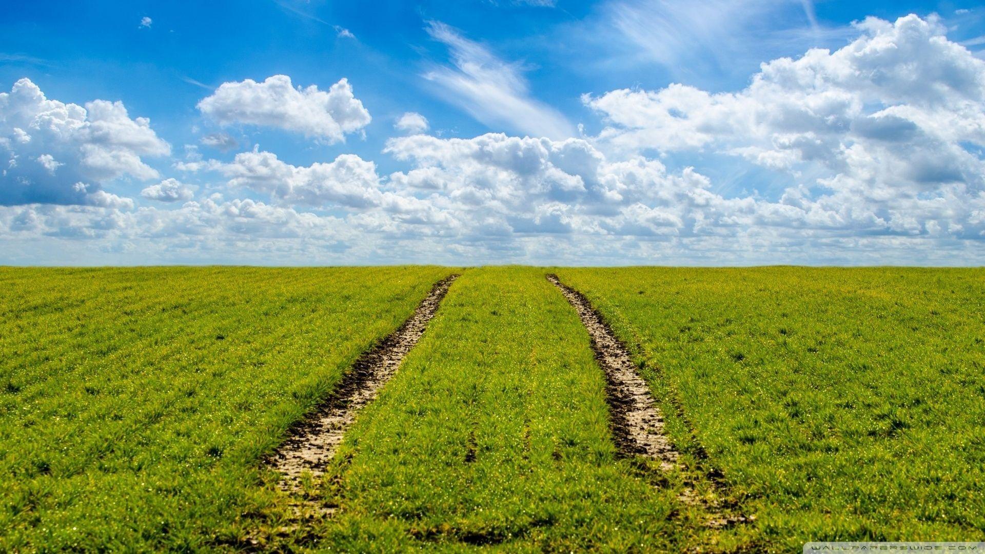 Agriculture Field Springtime HD desktop wallpaper, Widescreen