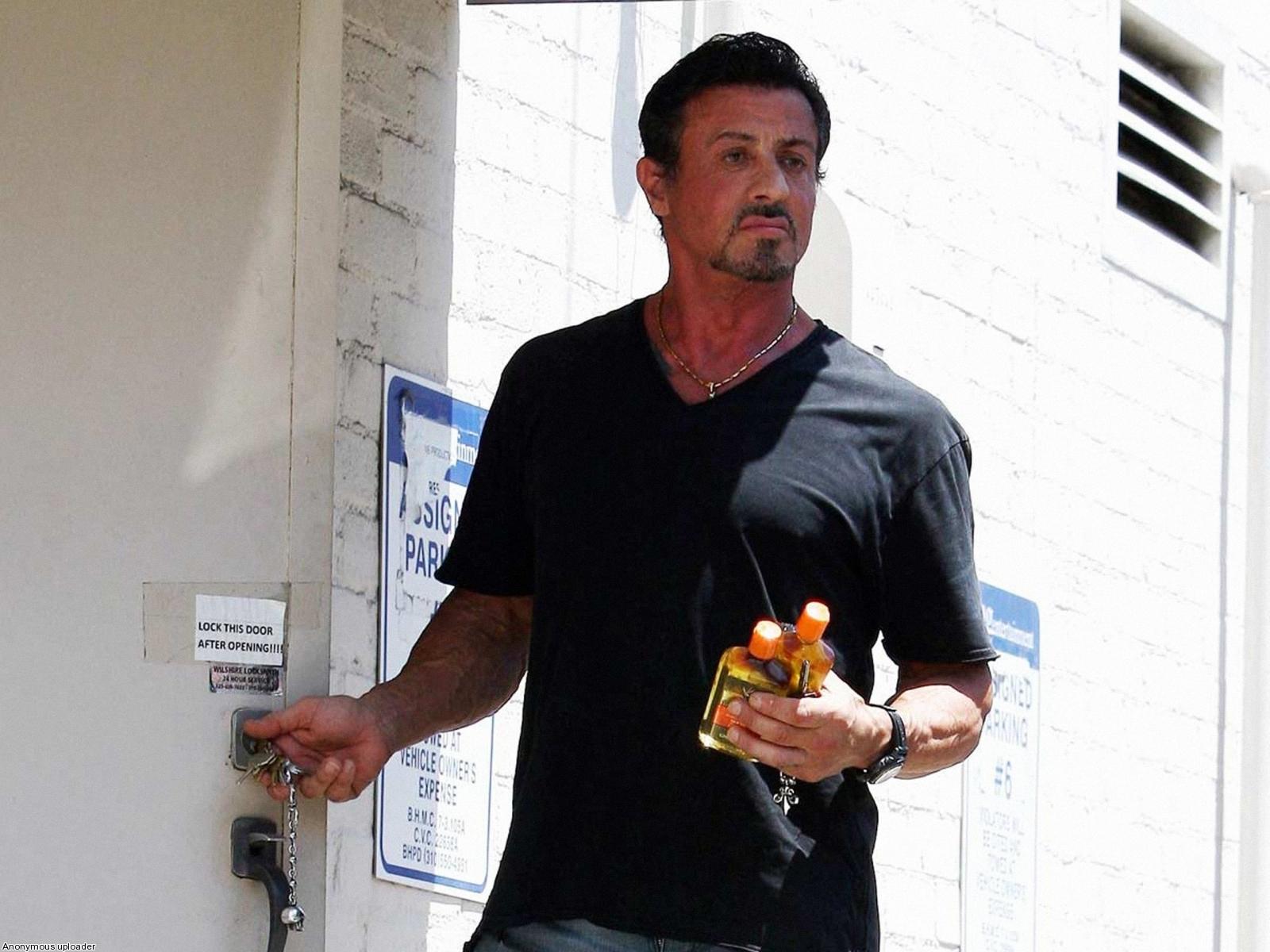 Hollywood Actor Sylvester Stallone HD Wallpaper