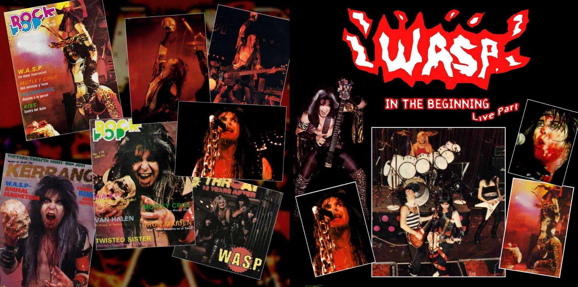 WASP iPad Wallpaper, WASP Background