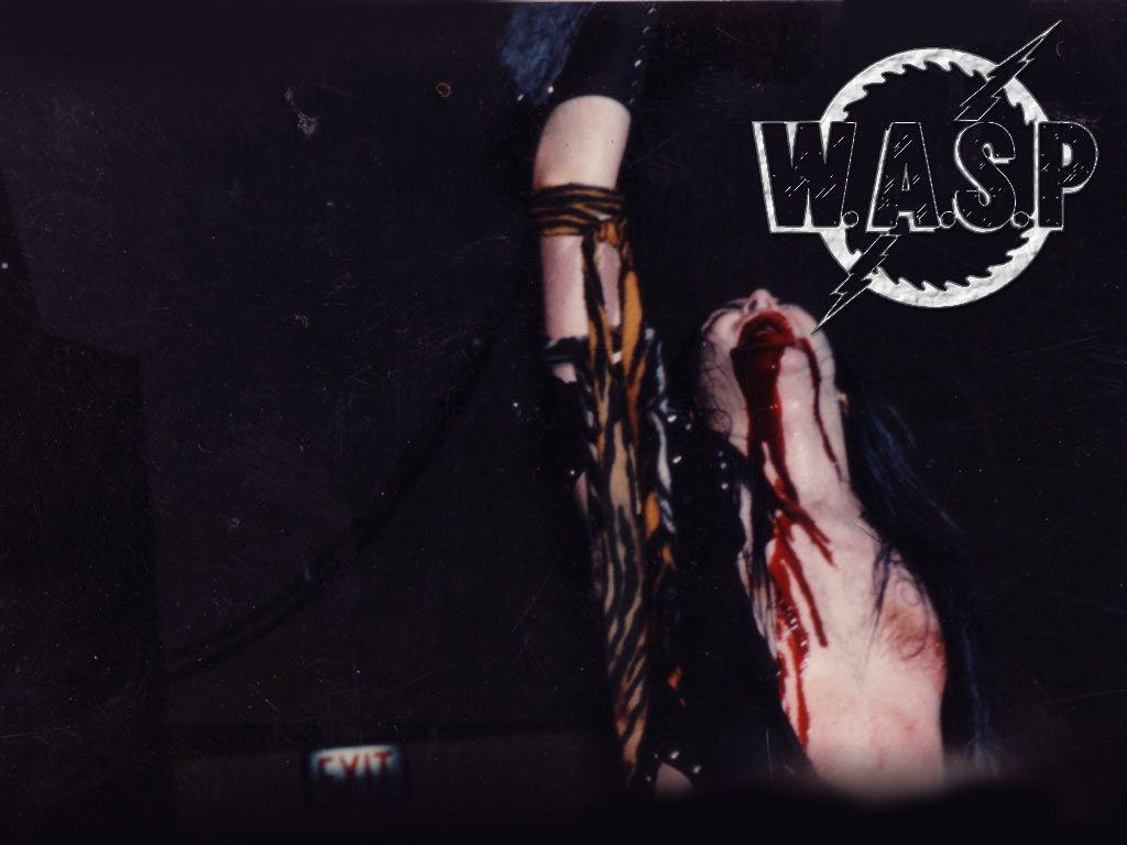 Wallpaper Blog: wasp wallpaper