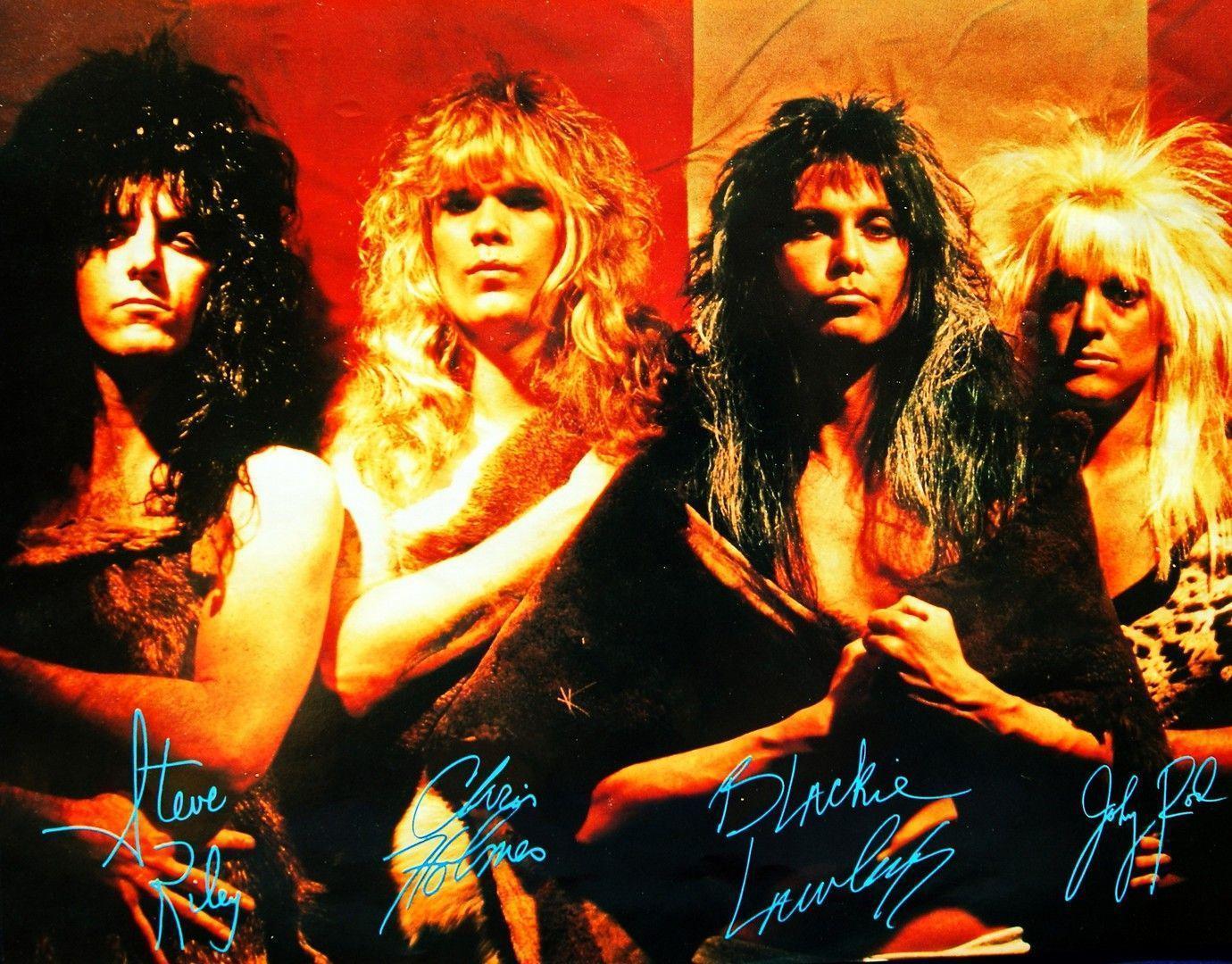 WASP Wallpapers - Wallpaper Cave