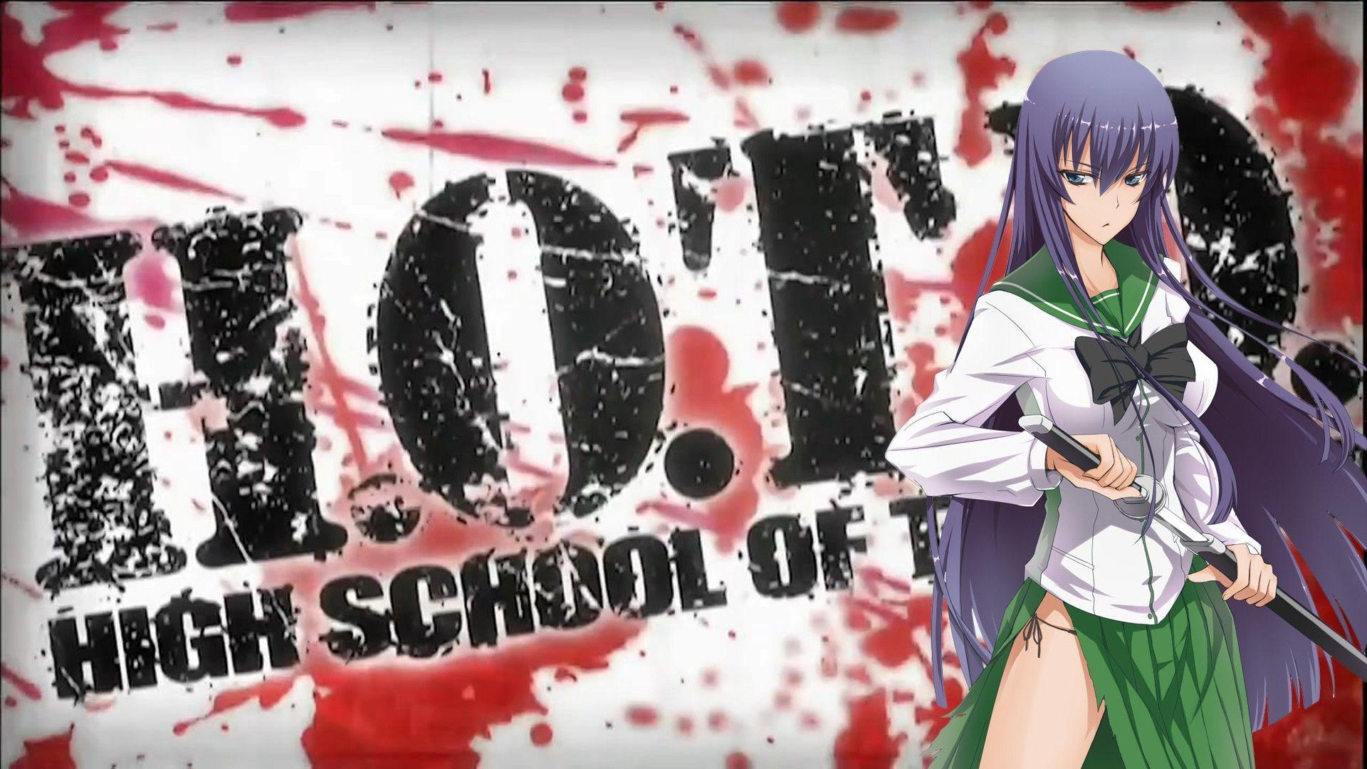 Anime Highschool Of The Dead HD Wallpaper by Wipebeef