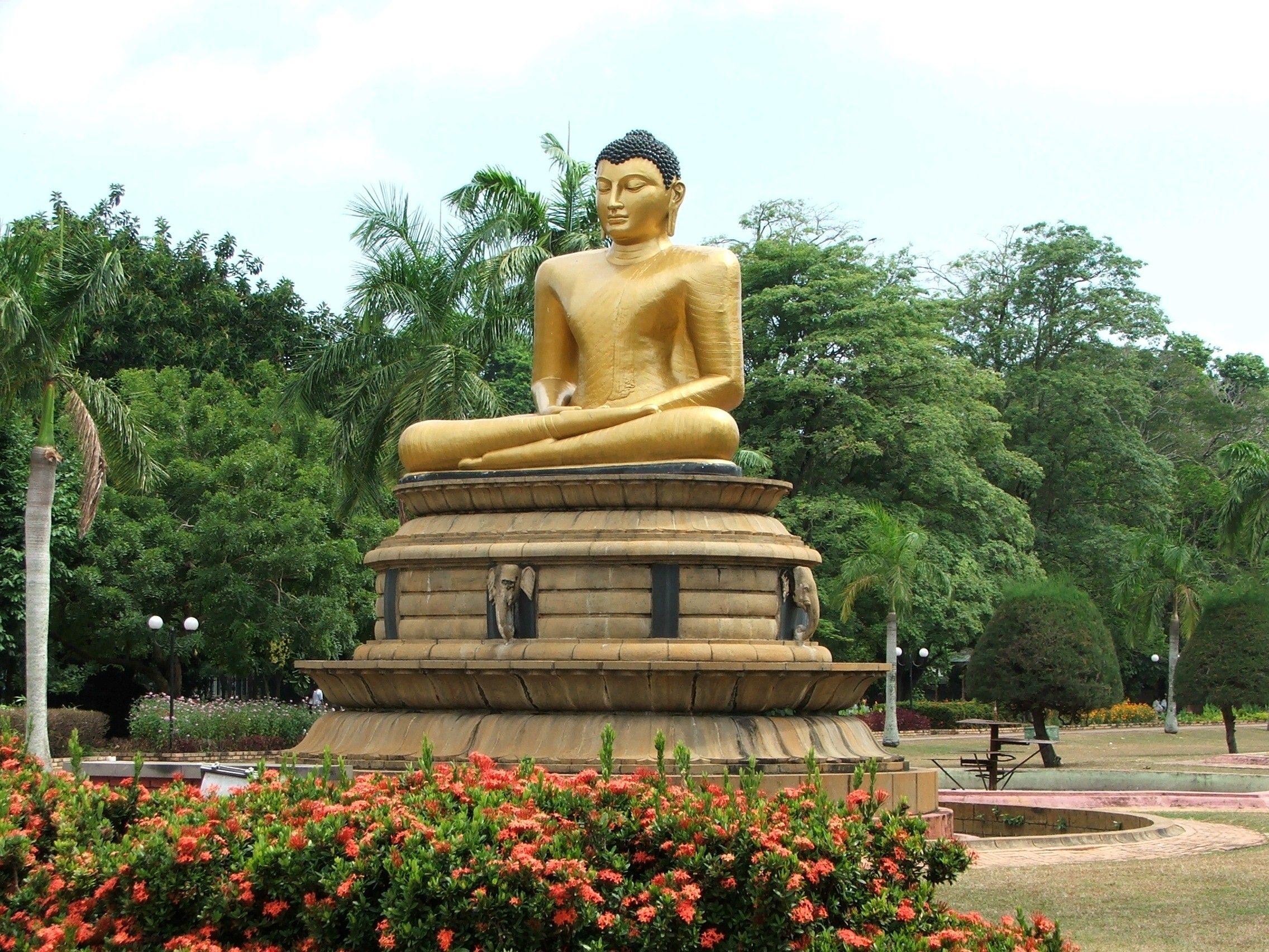 Gautam Buddha HD Wallpaper Image Picture Photo Download