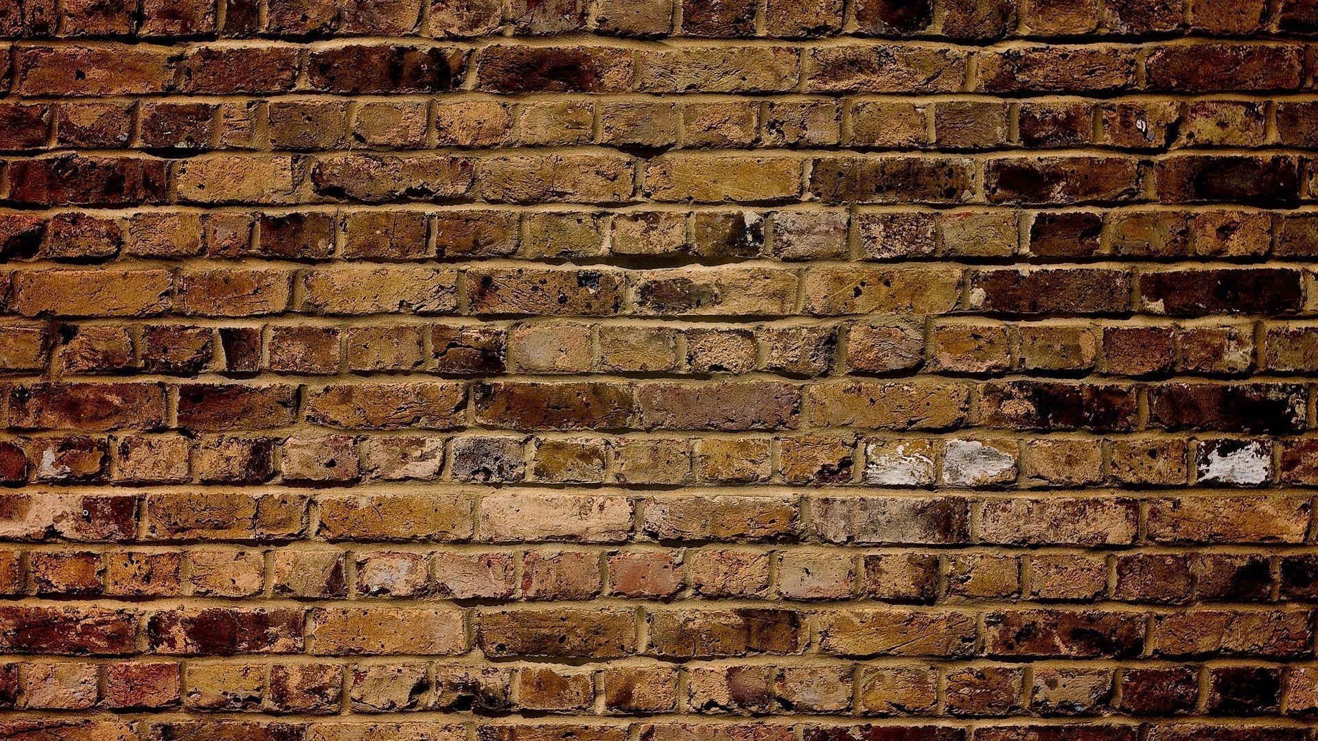 500 Brick Wall Pictures  Images HD  Download Free Photos on Unsplash