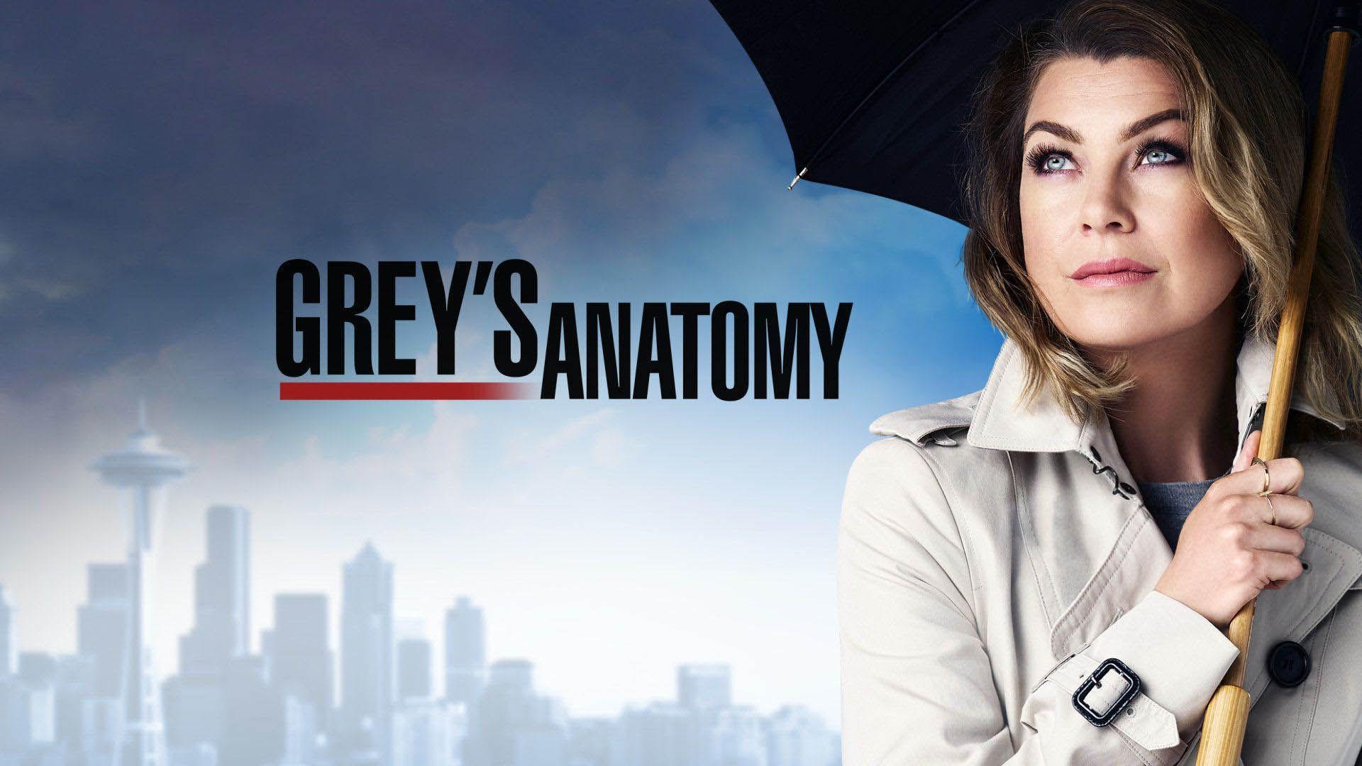 Grey's Anatomy Season 12 Poster