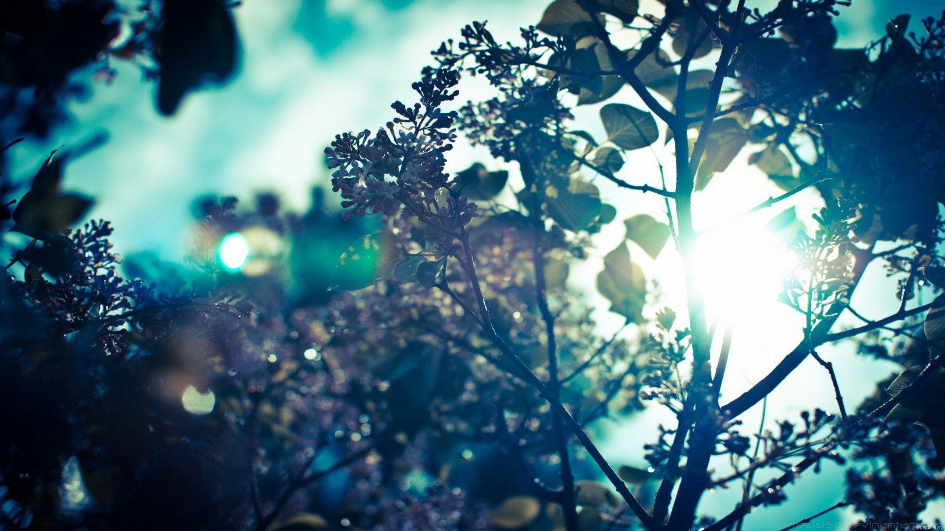background tumblr hipster free picture, image background tumblr