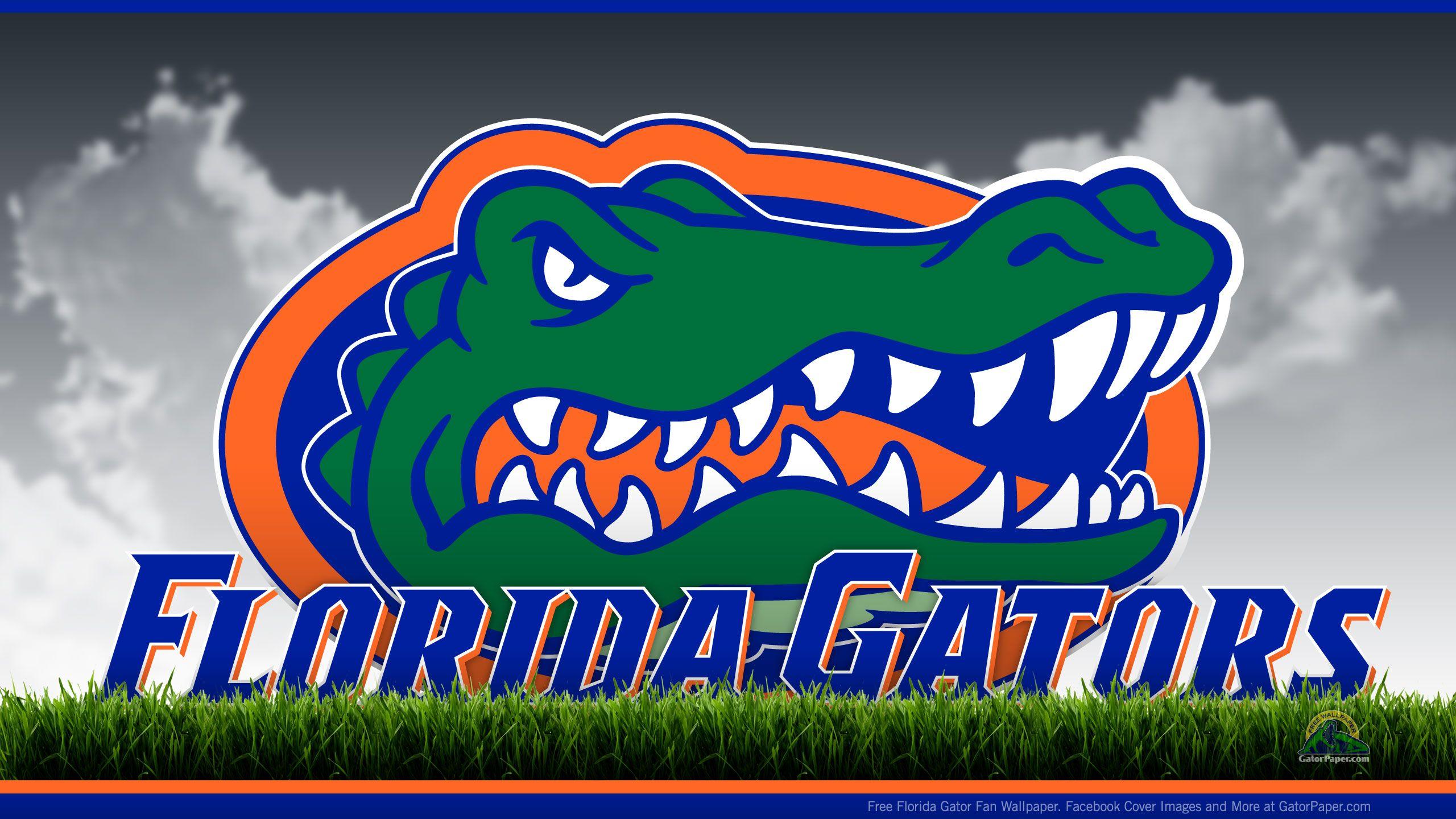 Florida Gators Football Wallpapers Wallpaper Cave