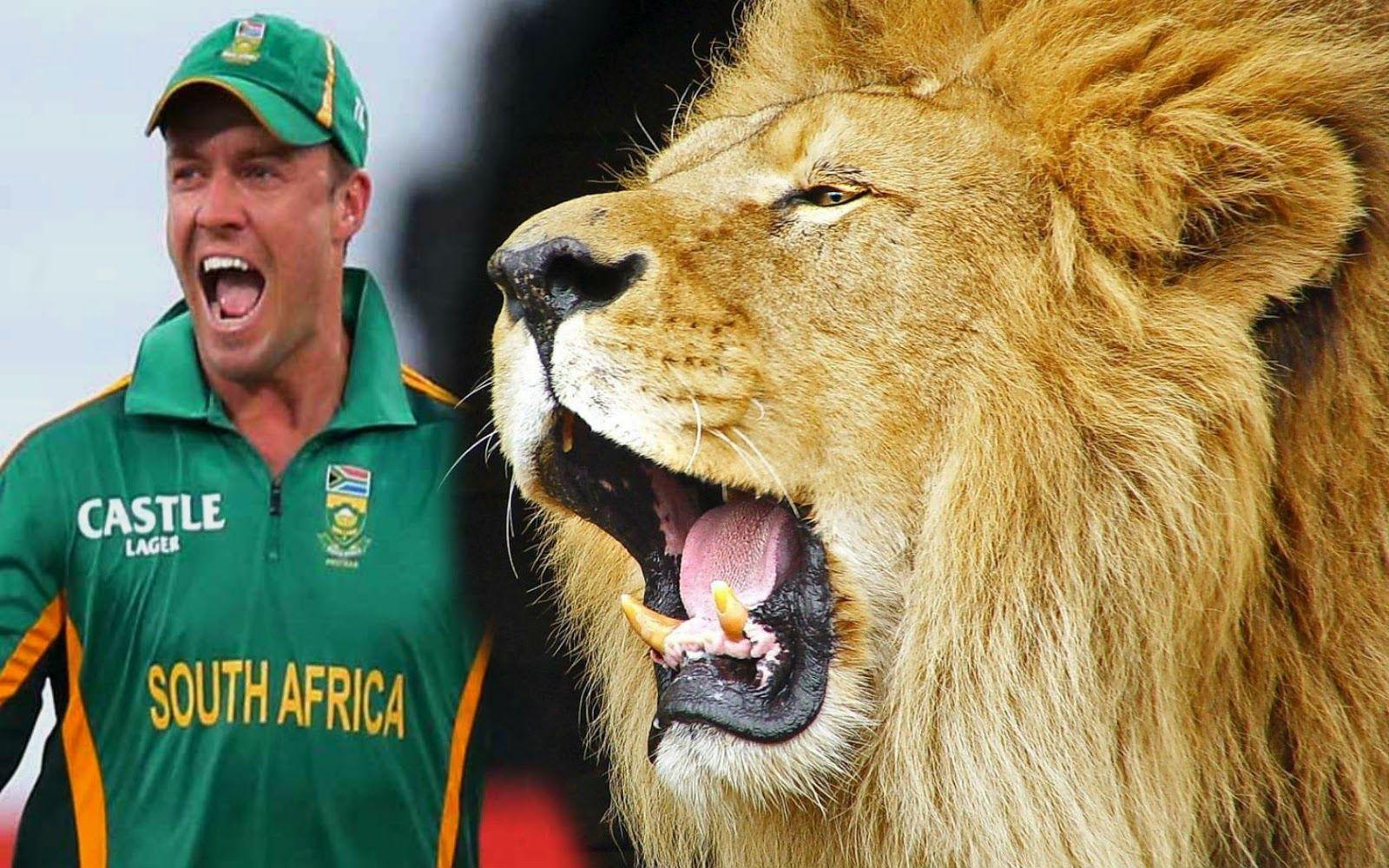 Latest AB De Villiers HD Wallpaper And Image Free Download
