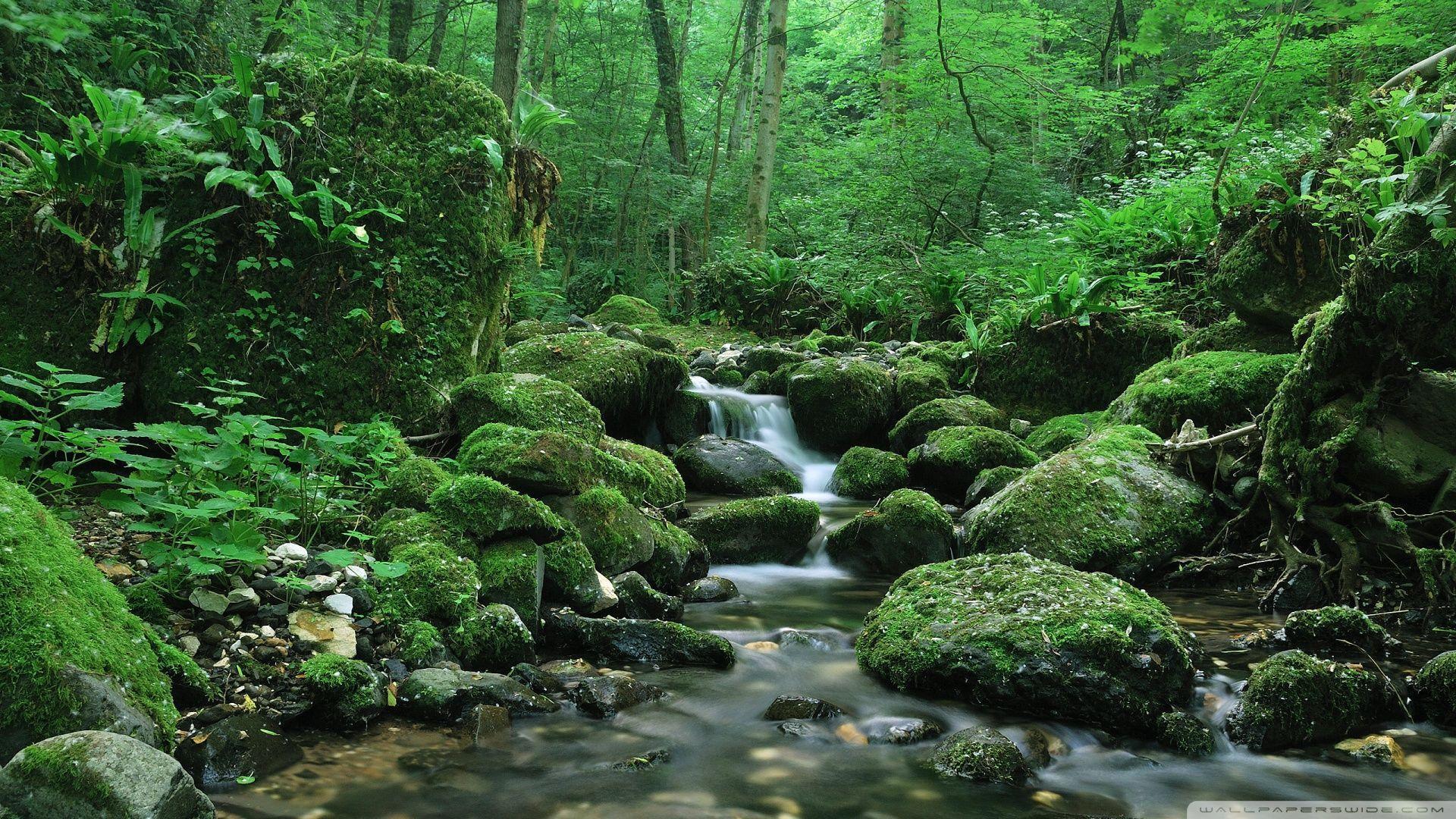 Water Stream HD desktop wallpaper, High Definition, Fullscreen