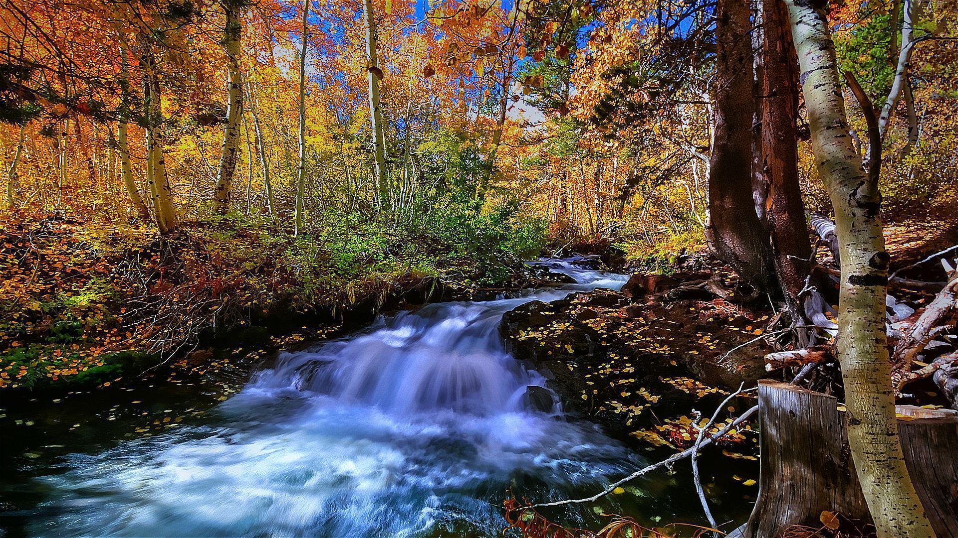 Nature Stream HD Wallpaper