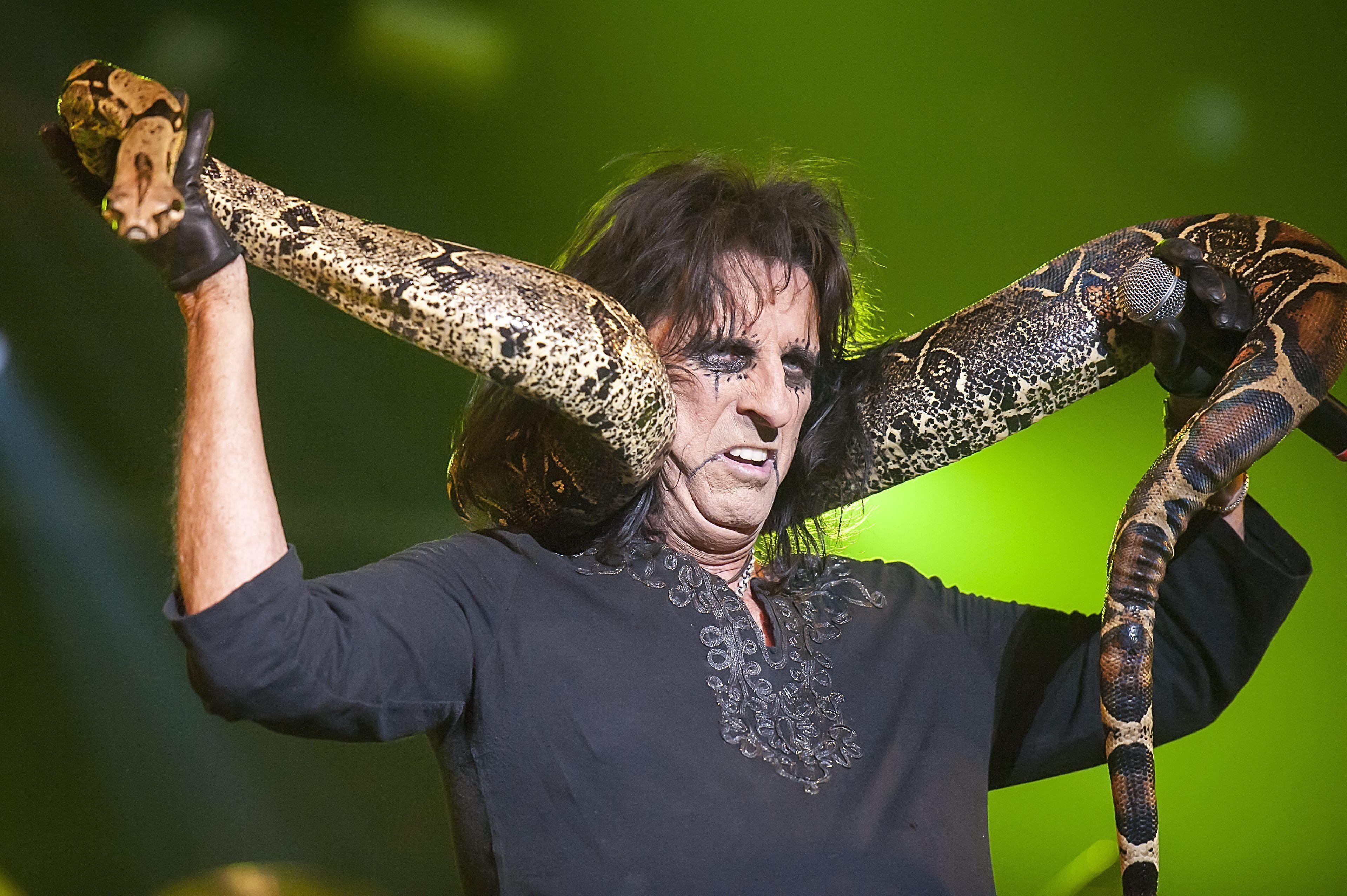 Alice Cooper Wallpapers - Wallpaper Cave