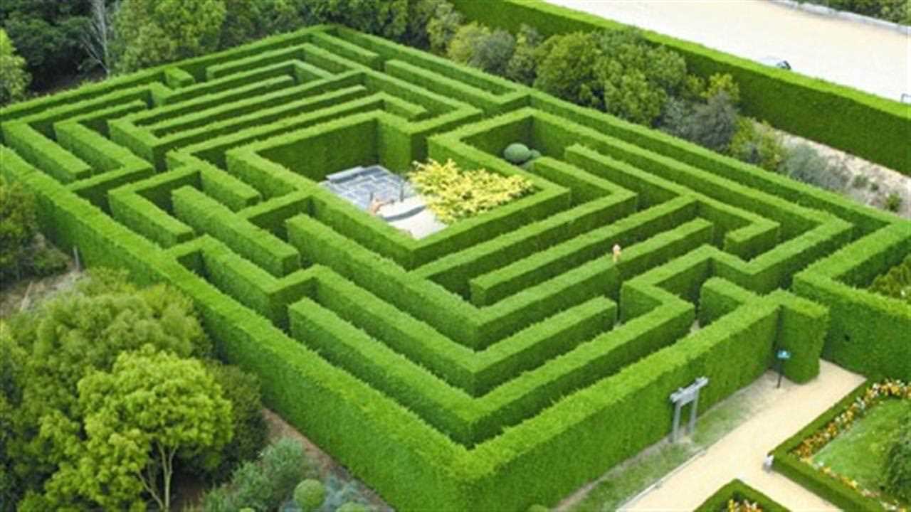 Hedge Maze HD Wallpaper Free Download. New HD Wallpaper Download