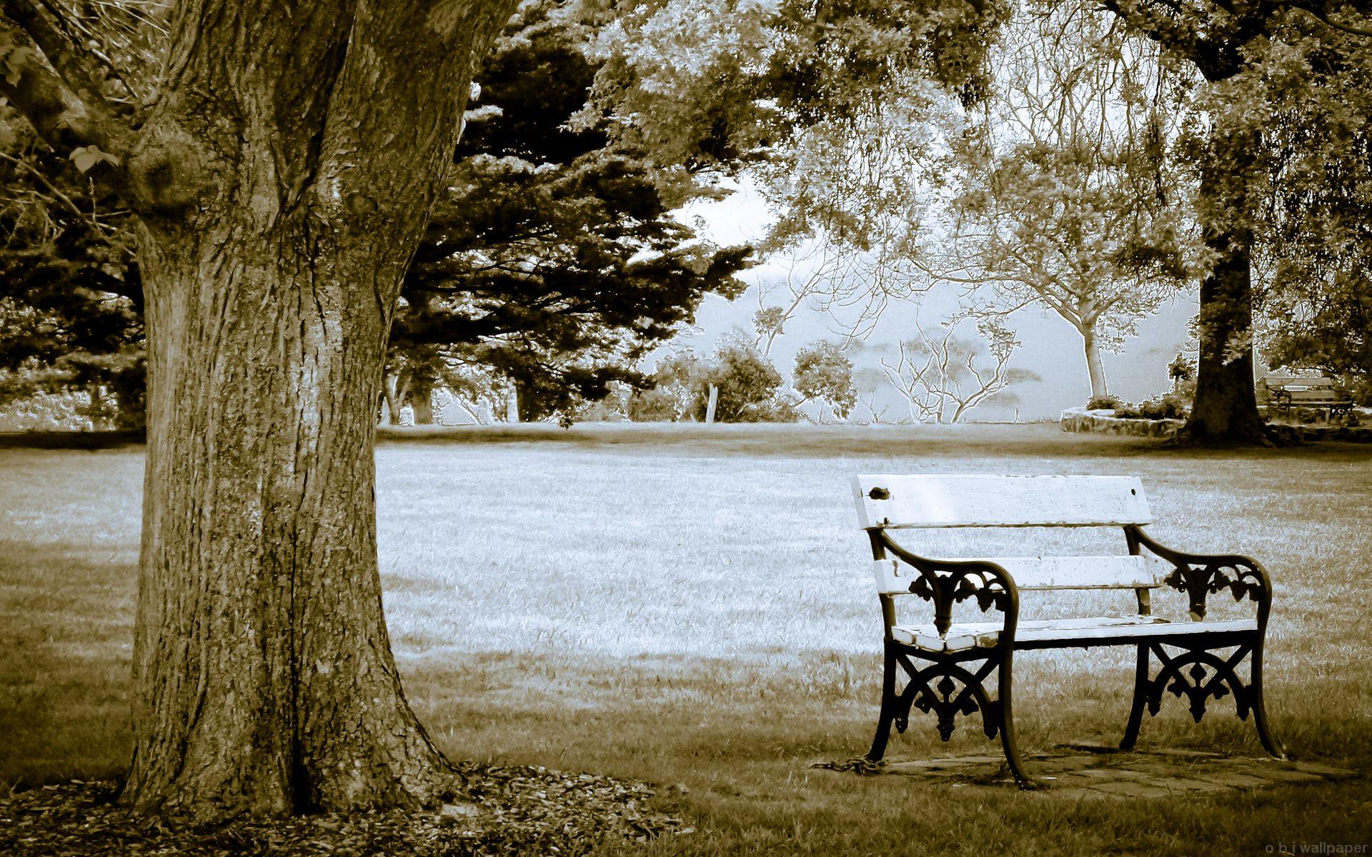 Bench Wallpaper High Quality Resolution With Wallpaper Wide