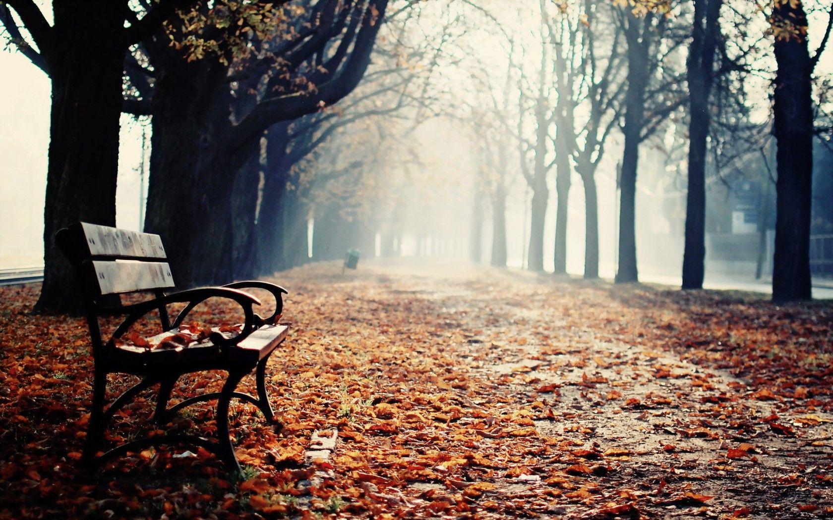 Park Benches Wallpaper and Background Imagex1050