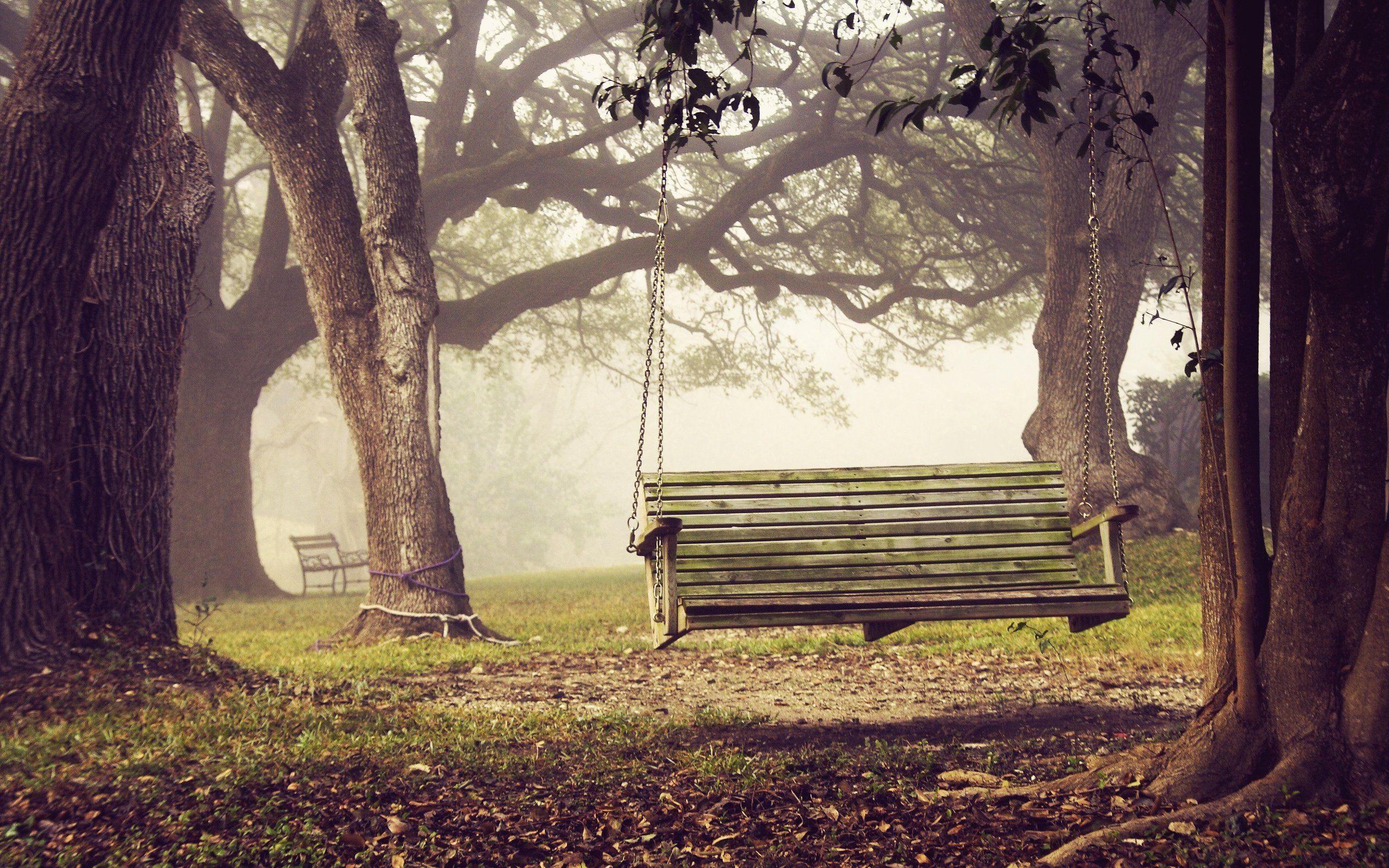 Bench Swing In The Forest Wallpaper
