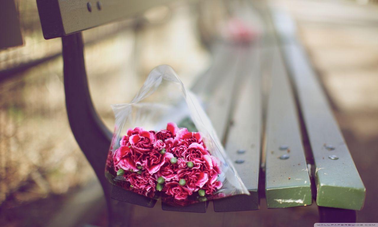 Carnations Bouquet On A Bench HD desktop wallpaper