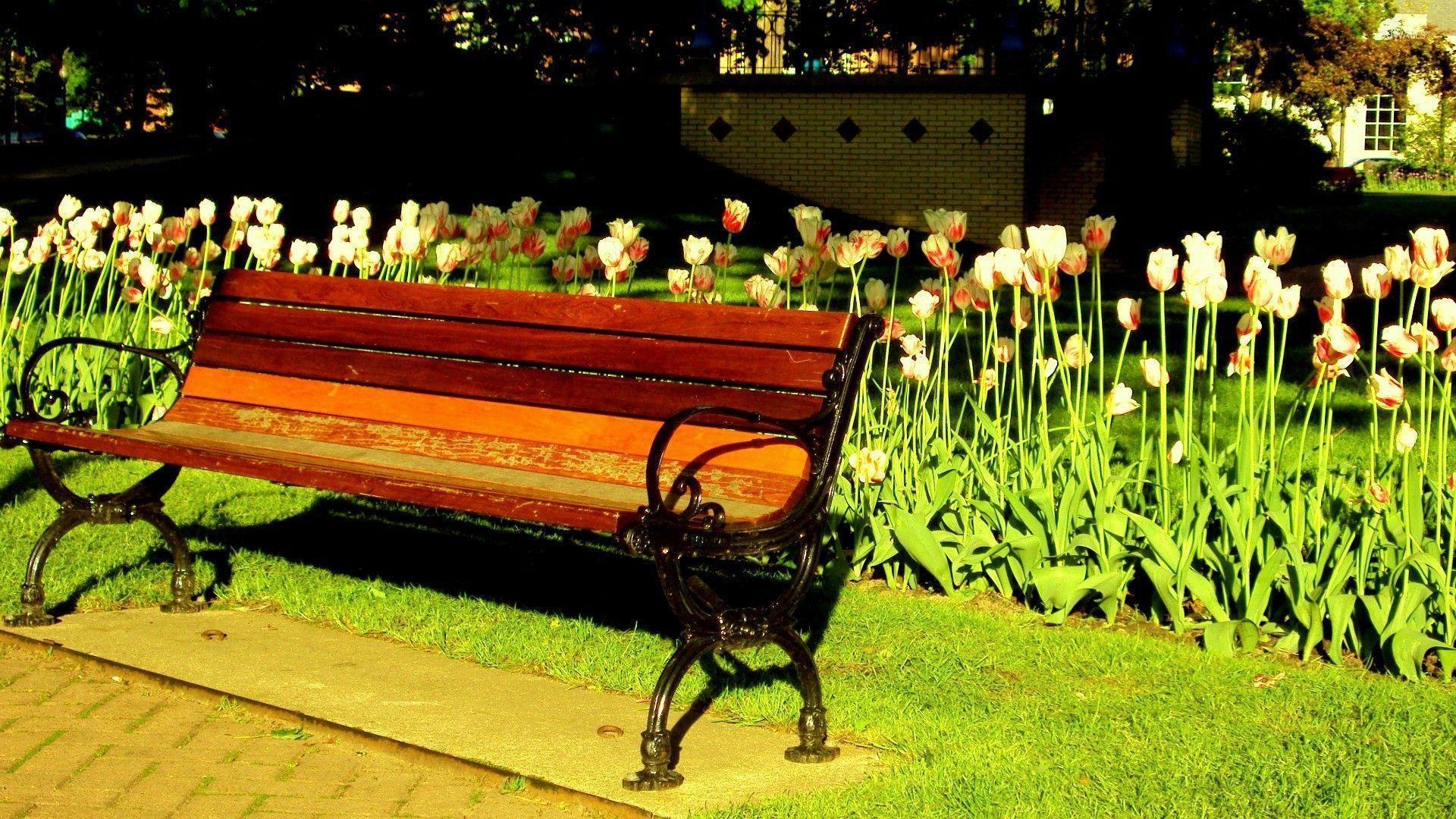 Bench Wallpapers - Wallpaper Cave