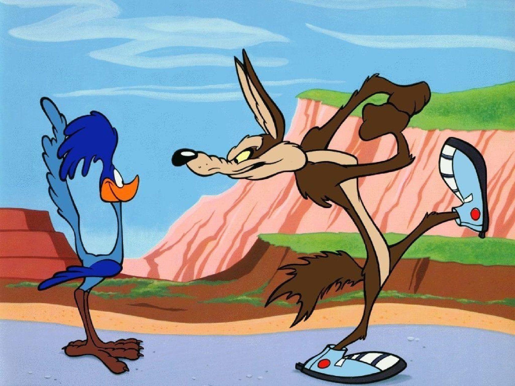 Wile E. Coyote And The Road Runner HD Wallpaper. Background