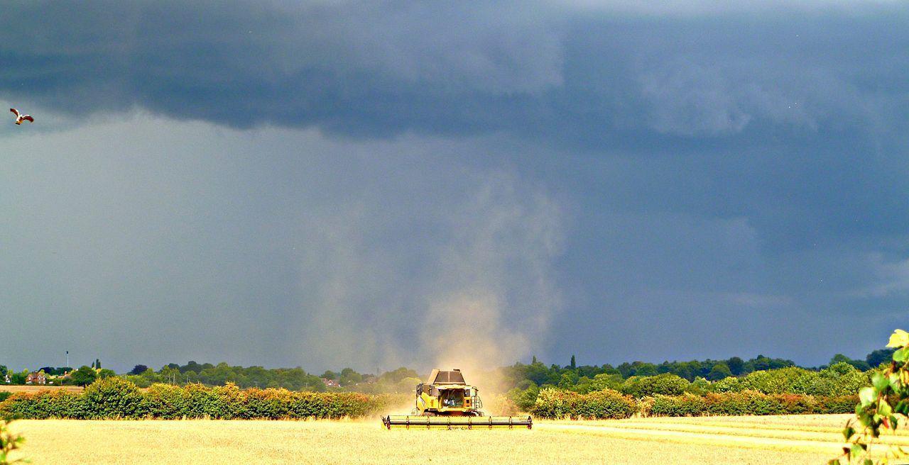 New Holland combine at work near Stoneleigh