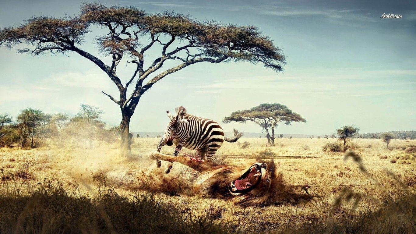 Wildlife HD Wallpaper