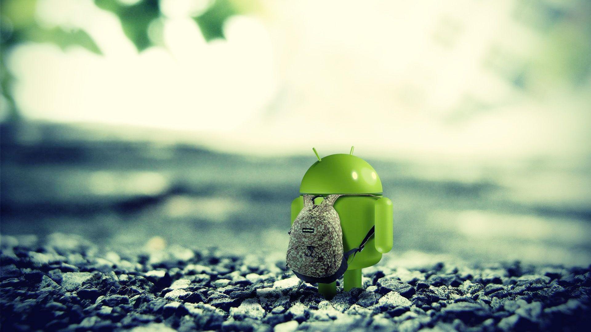 Android Developer Wallpaper