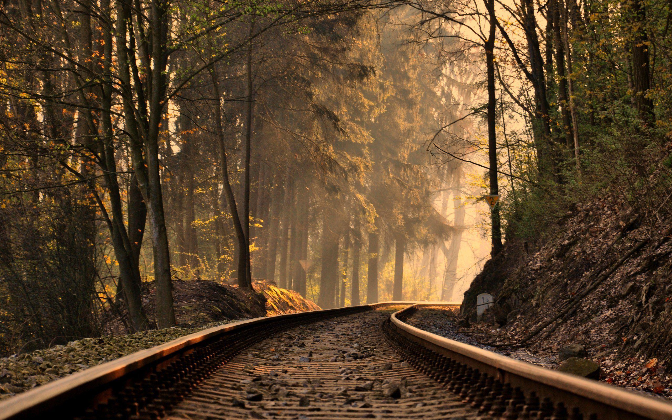 Railroad Track HD Wallpaper Download For Desktop & Mobile
