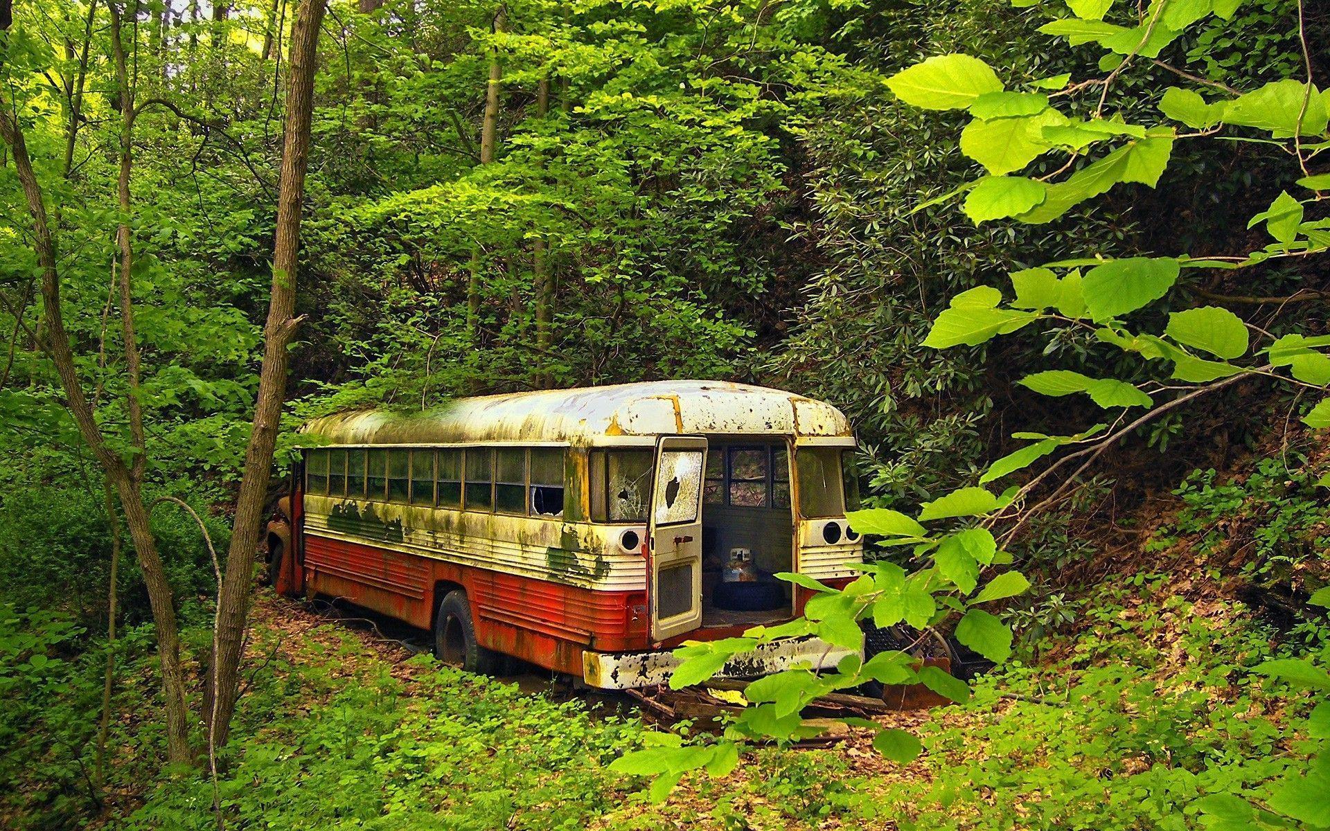 nature, Trees, Forest, Buses, Abandoned Wallpaper HD / Desktop