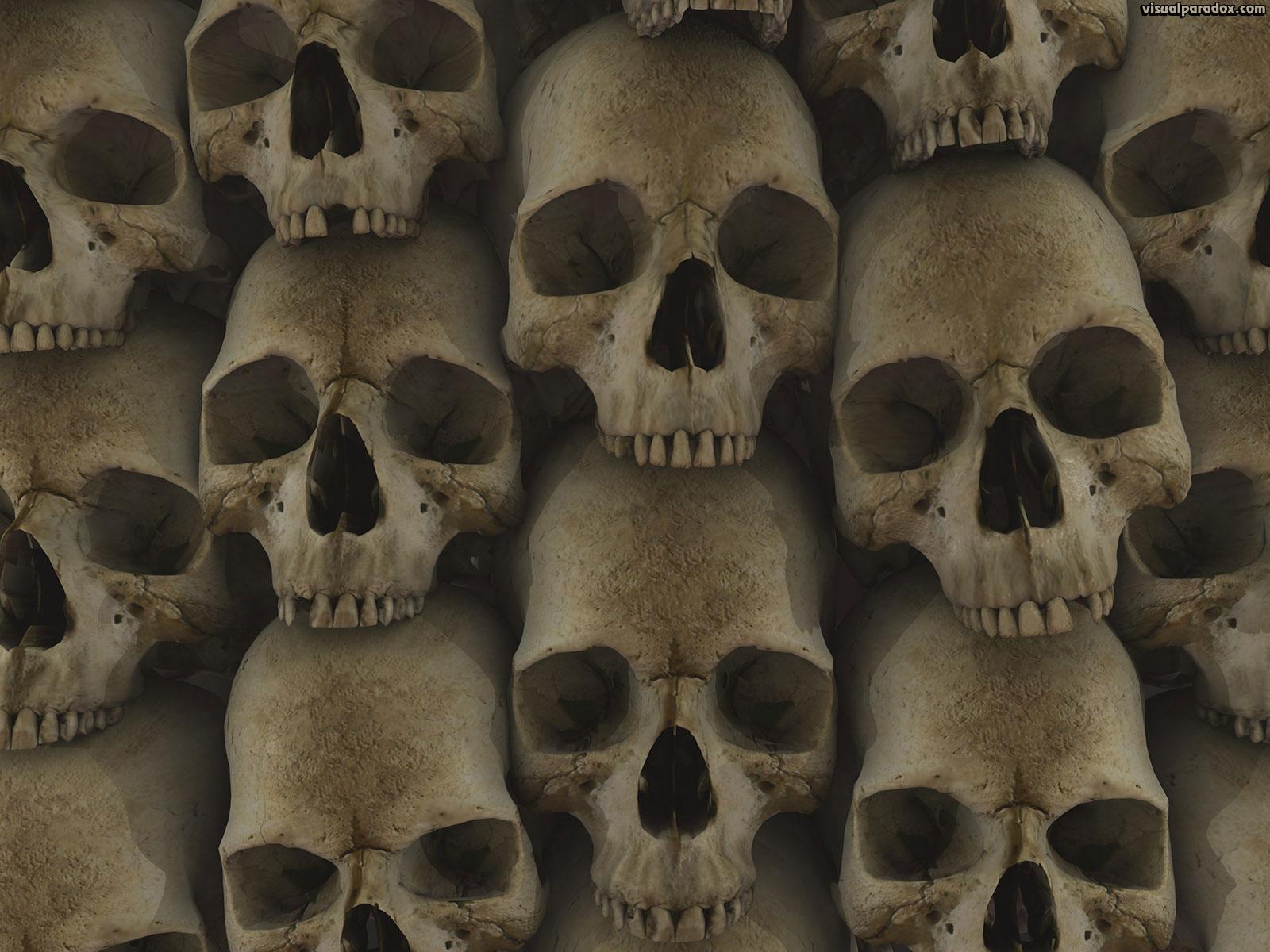 Calaveras. Skeletons and skulls