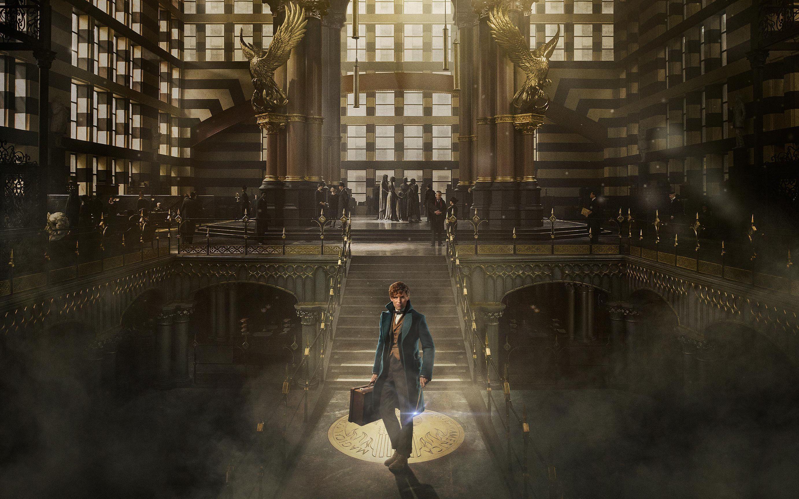 Fantastic Beasts and Where to Find Them HD Wallpaper