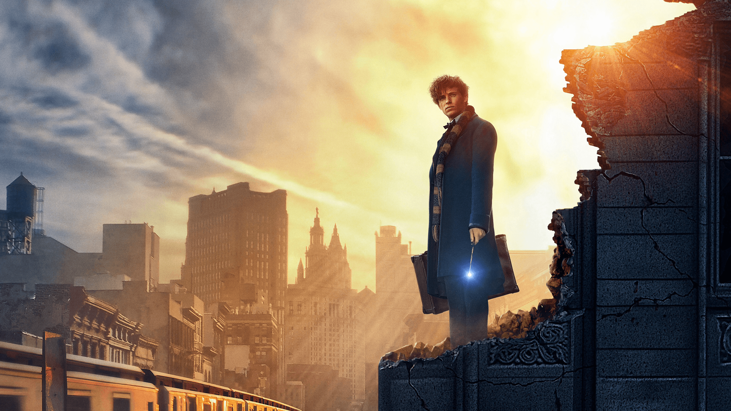 Fantastic Beasts and Where to Find Them HD Wallpaper
