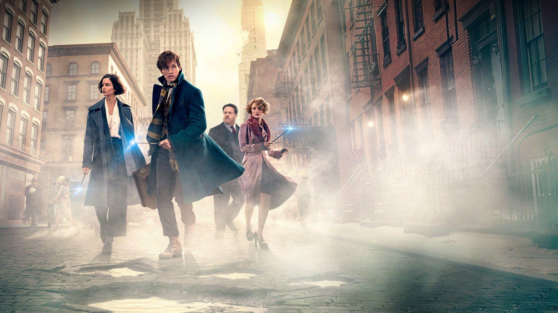 Fantastic Beasts And Where To Find Them Computer Wallpaper