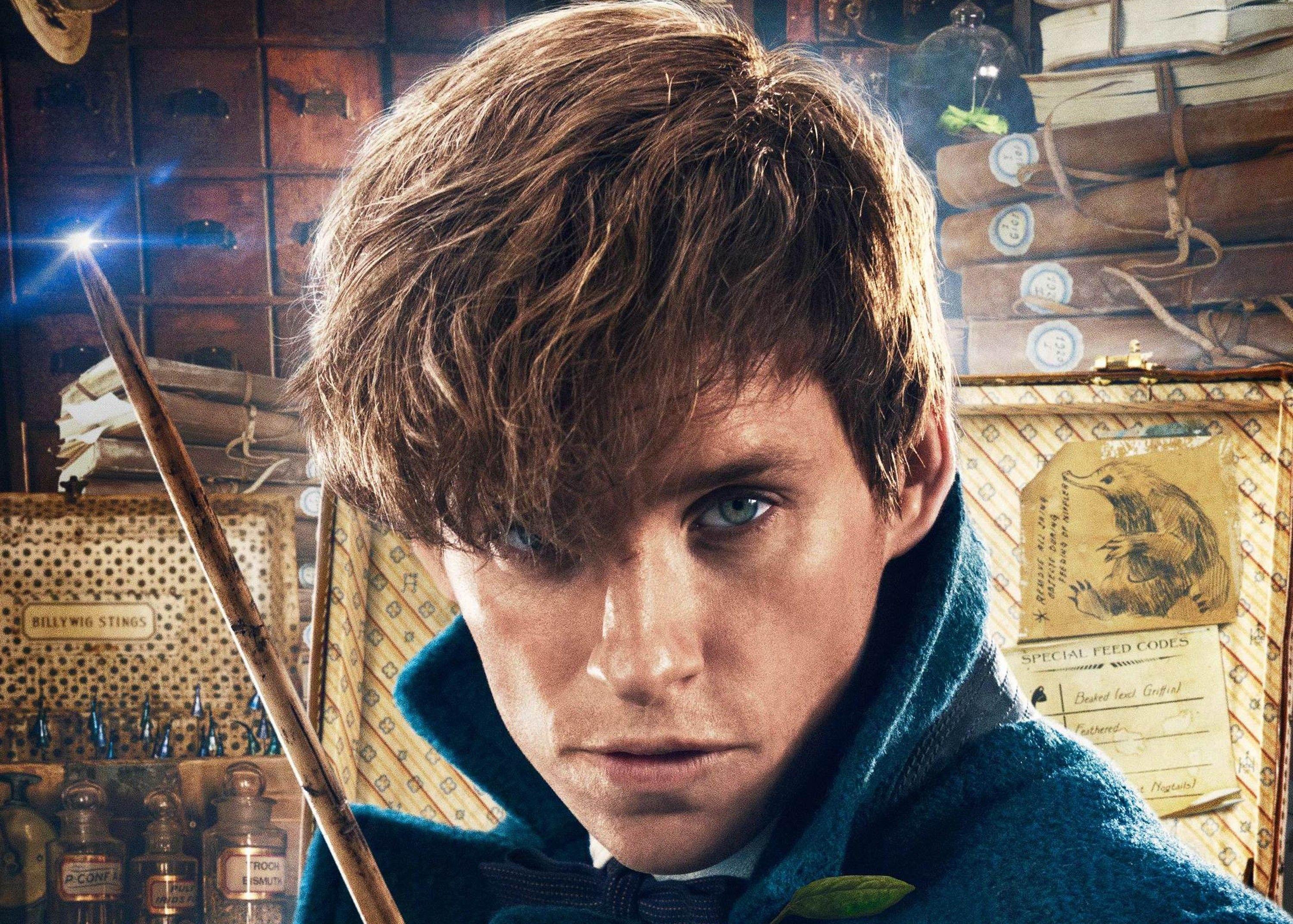 Fantastic Beasts And Where To Find Them Wallpaper, Movies