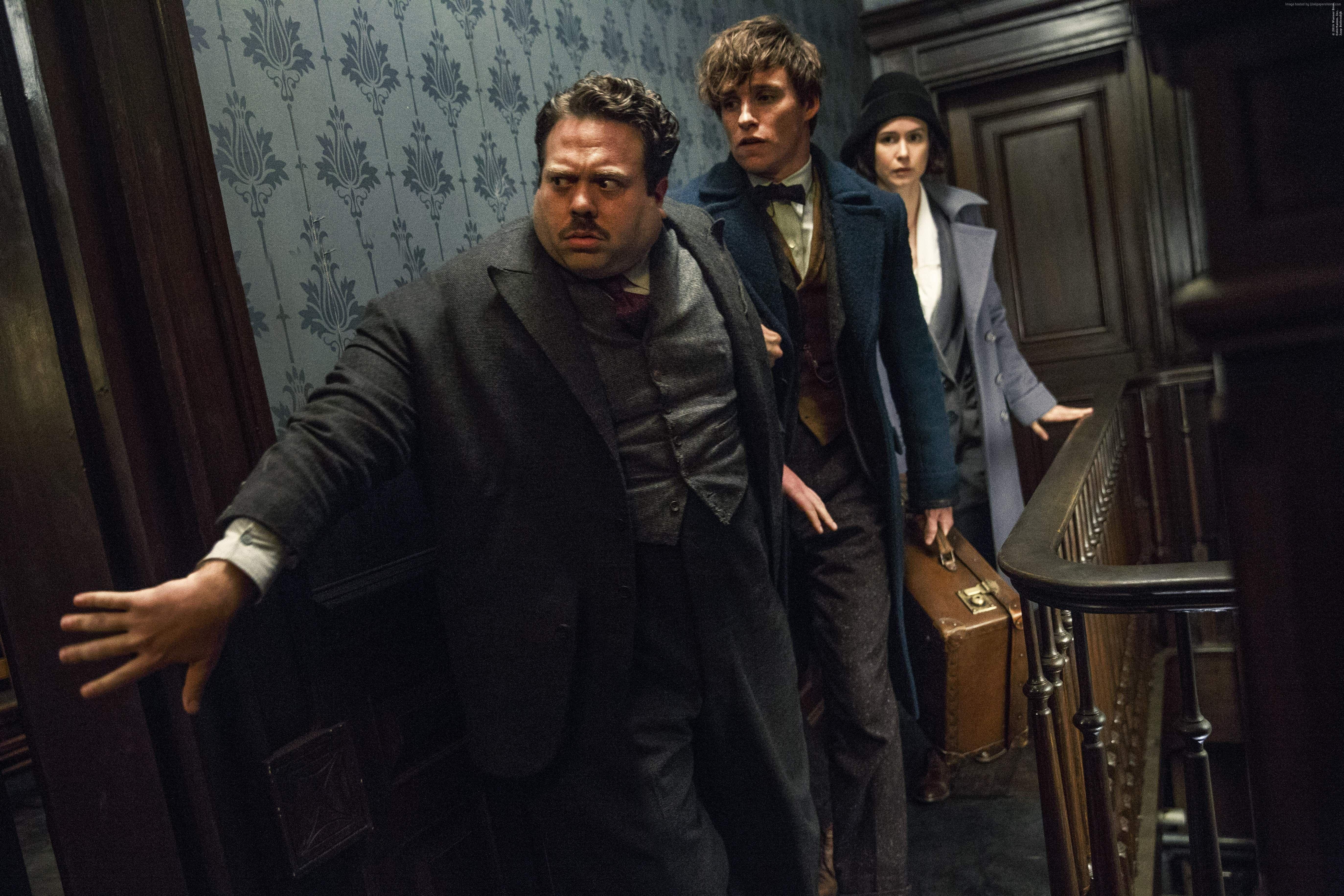 Fantastic Beasts And Where To Find Them Wallpaper, Movies