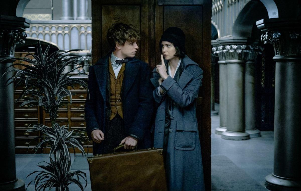 fantastic beasts and where to find them (film) image Fantastic