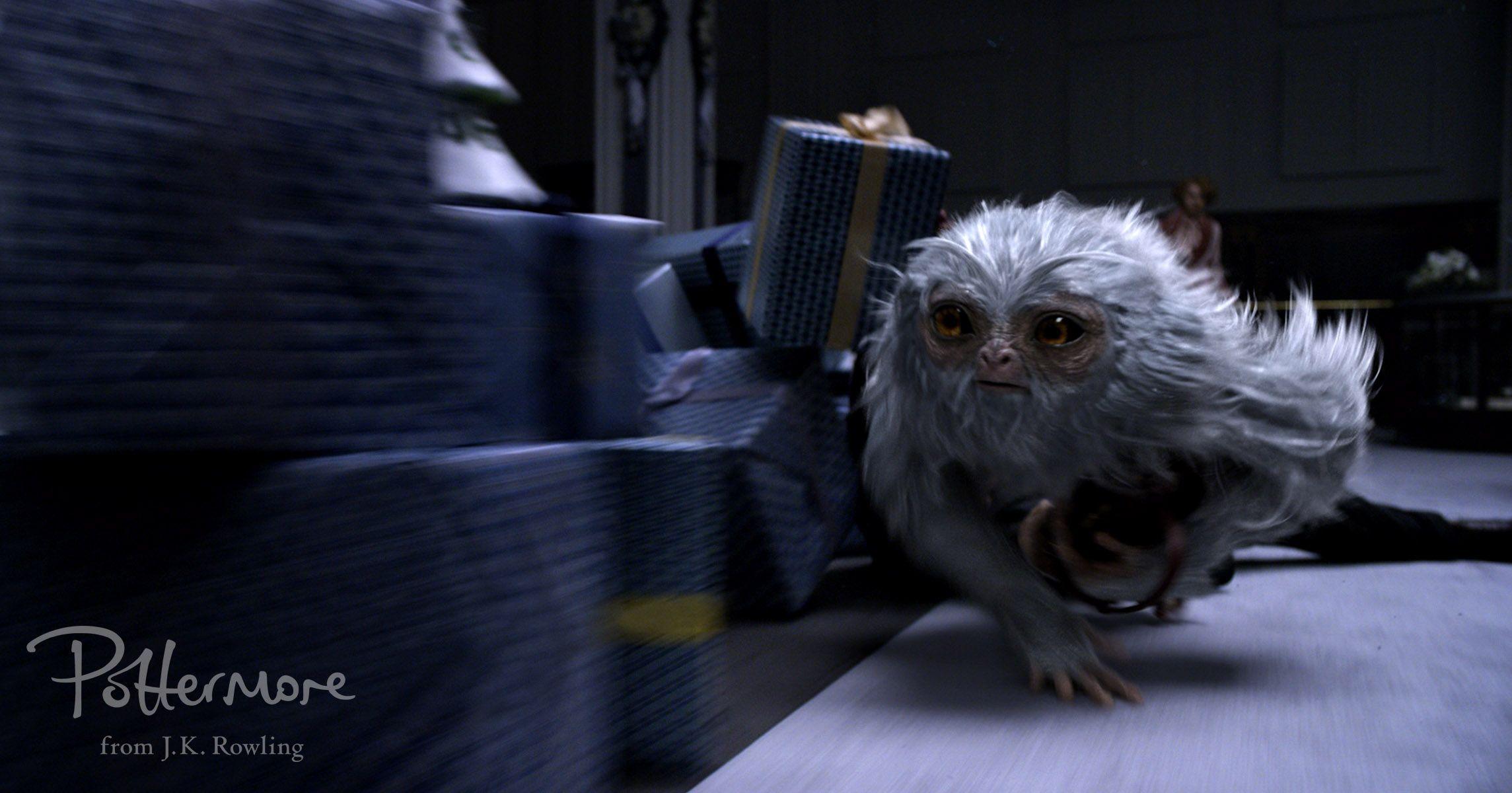 Fantastic Beasts And Where To Find Them HD Wallpaper