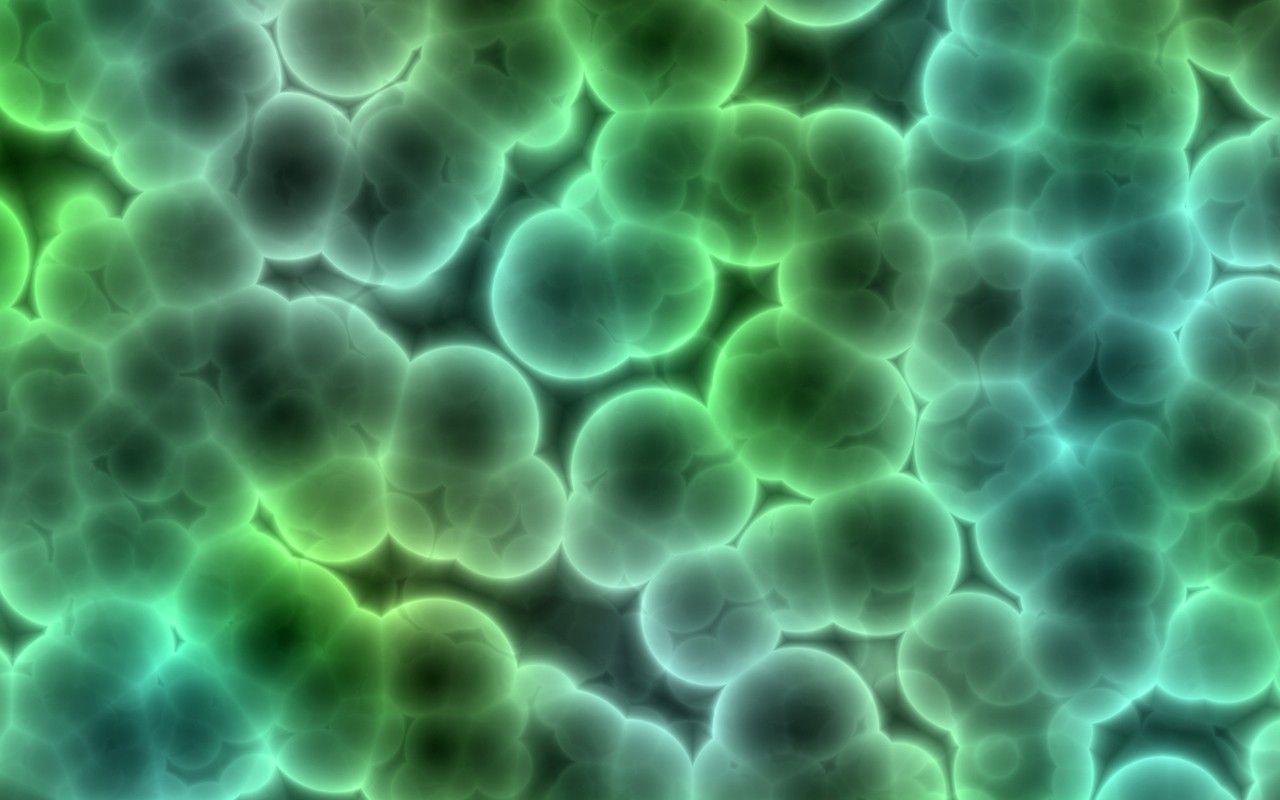 Cell Biology Wallpaper