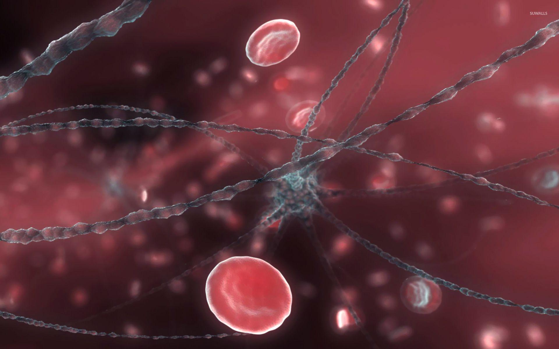 Neuron and red blood cells wallpaper wallpaper