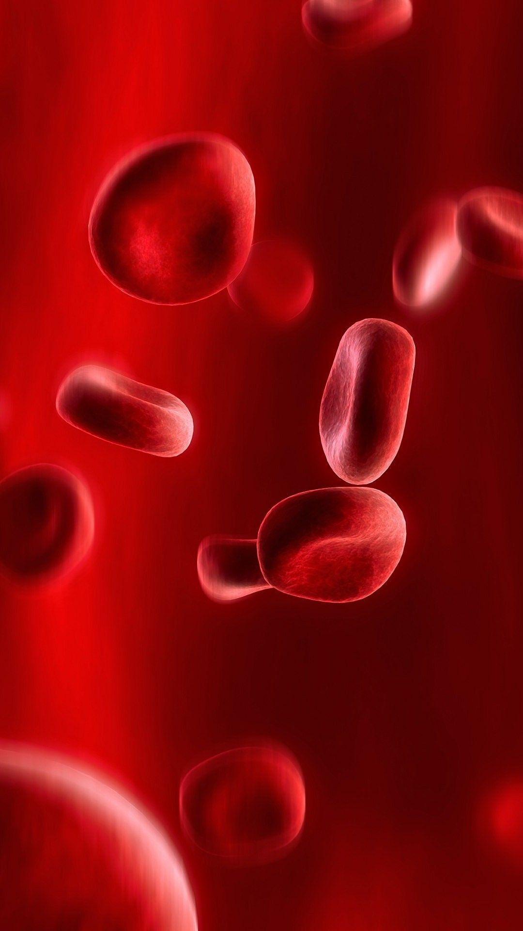 Blood cells Mobile Wallpaper 4532