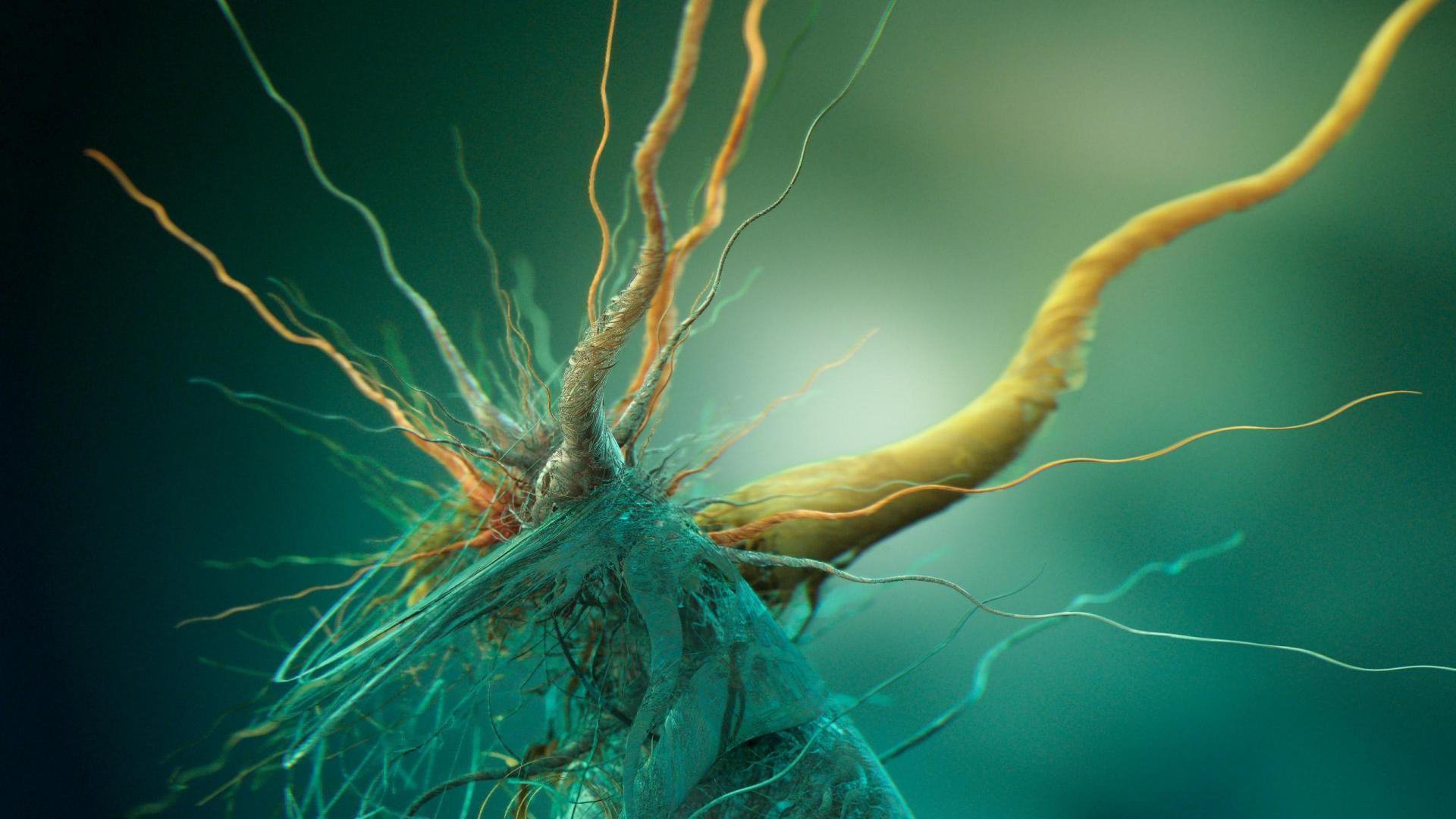 Cells Biology Brains Abstract HD Wallpaper, Desktop Background