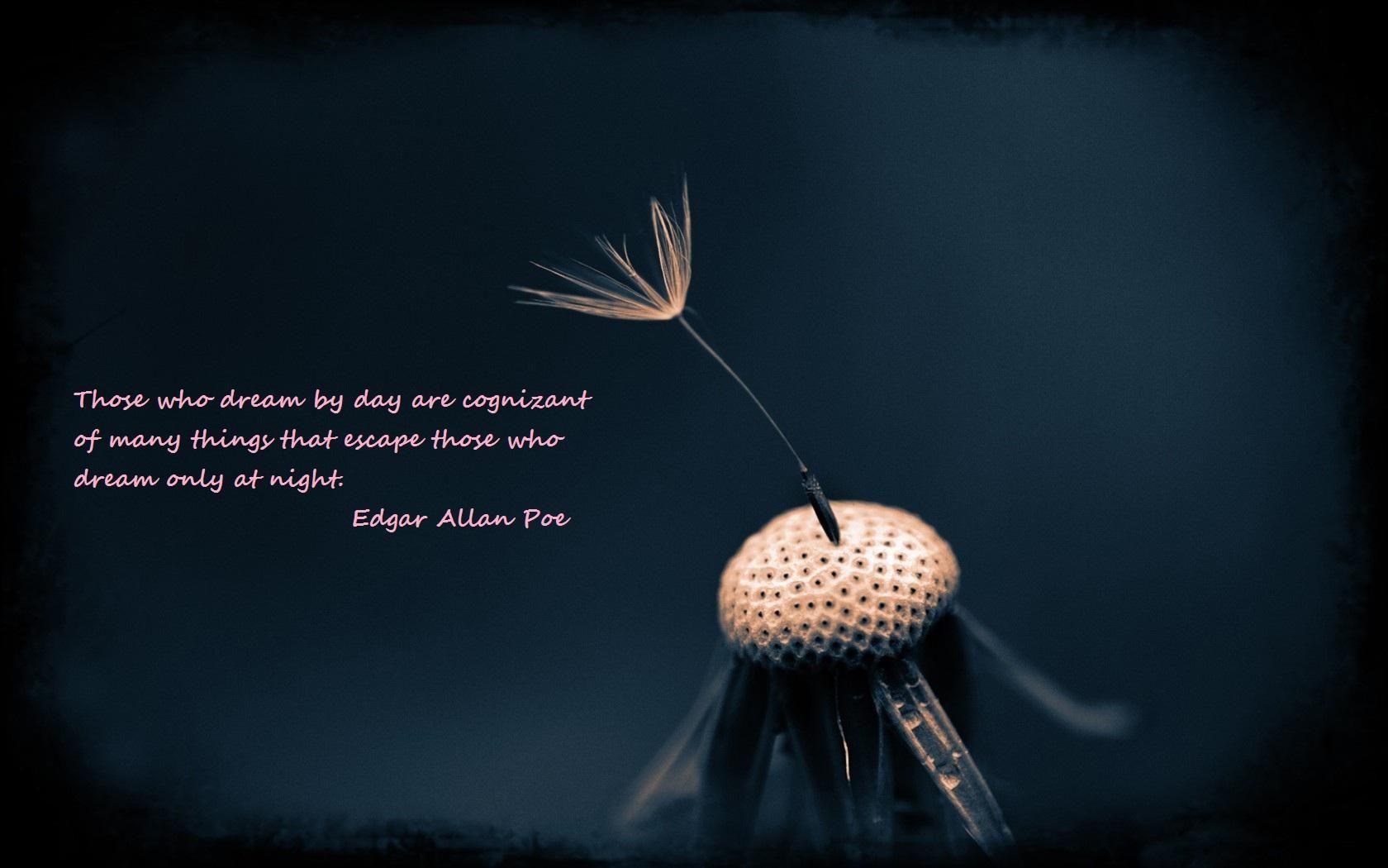 Edgar Allan Poe Quotes Text