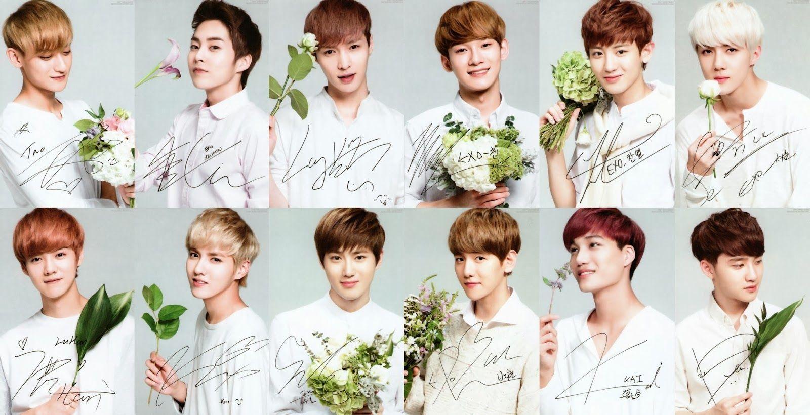 I LOVE KPOP image EXO 2 HD wallpaper and background photo